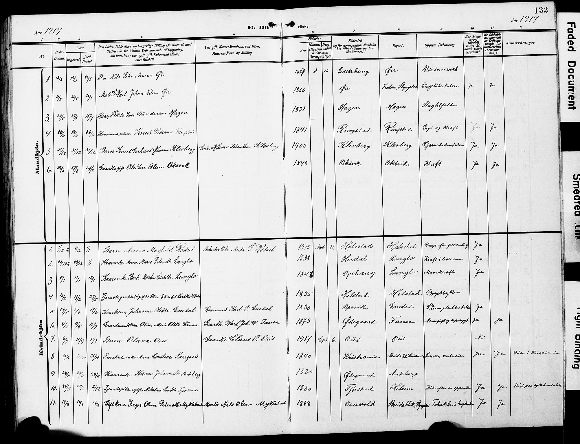 Ministerialprotokoller, klokkerbøker og fødselsregistre - Møre og Romsdal, AV/SAT-A-1454/520/L0293: Parish register (copy) no. 520C05, 1902-1923, p. 132