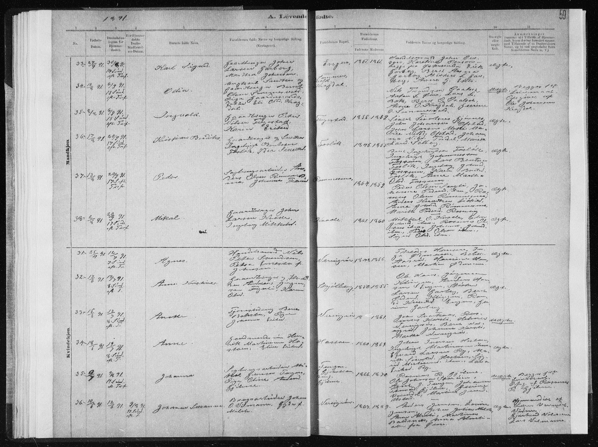 Ministerialprotokoller, klokkerbøker og fødselsregistre - Sør-Trøndelag, AV/SAT-A-1456/668/L0818: Parish register (copy) no. 668C07, 1885-1898, p. 59