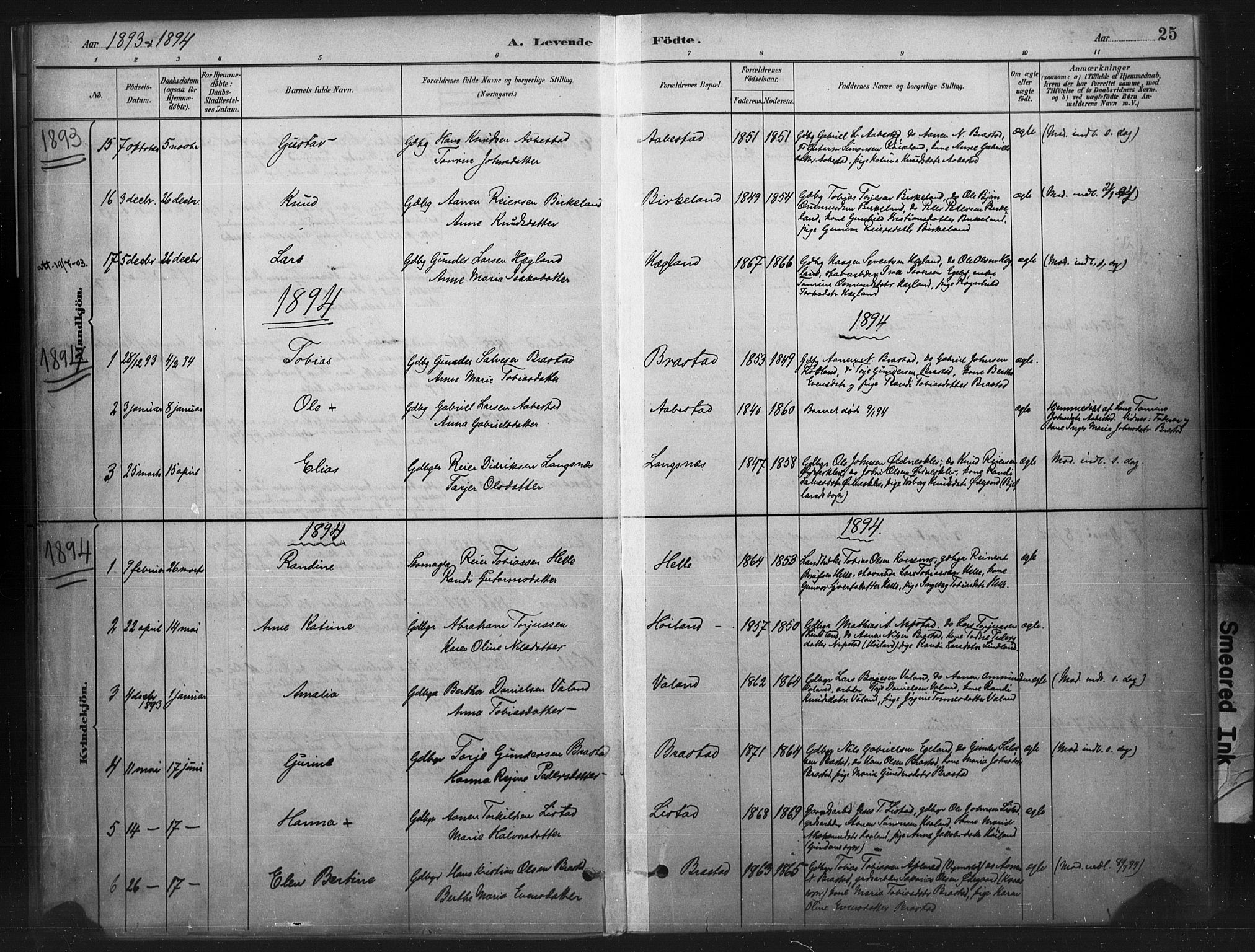 Nord-Audnedal sokneprestkontor, AV/SAK-1111-0032/F/Fa/Faa/L0003: Parish register (official) no. A 3, 1882-1900, p. 25