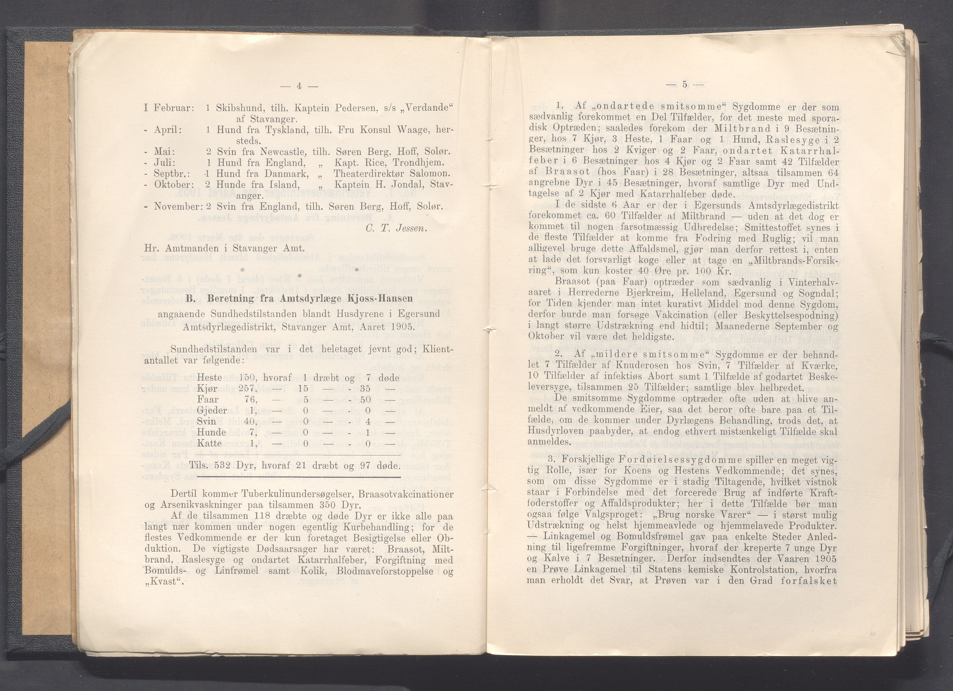 Rogaland fylkeskommune - Fylkesrådmannen , IKAR/A-900/A, 1907, p. 10