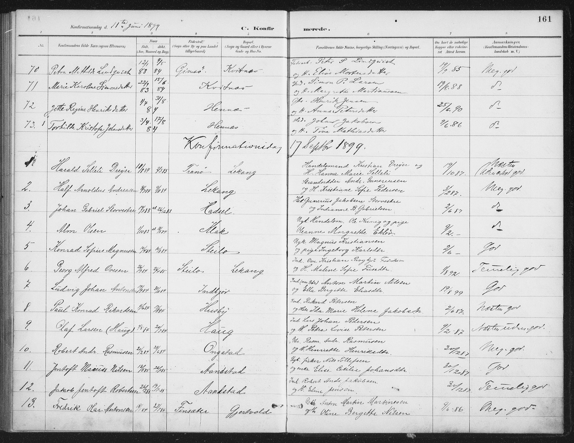 Ministerialprotokoller, klokkerbøker og fødselsregistre - Nordland, SAT/A-1459/888/L1245: Parish register (official) no. 888A11, 1888-1900, p. 161