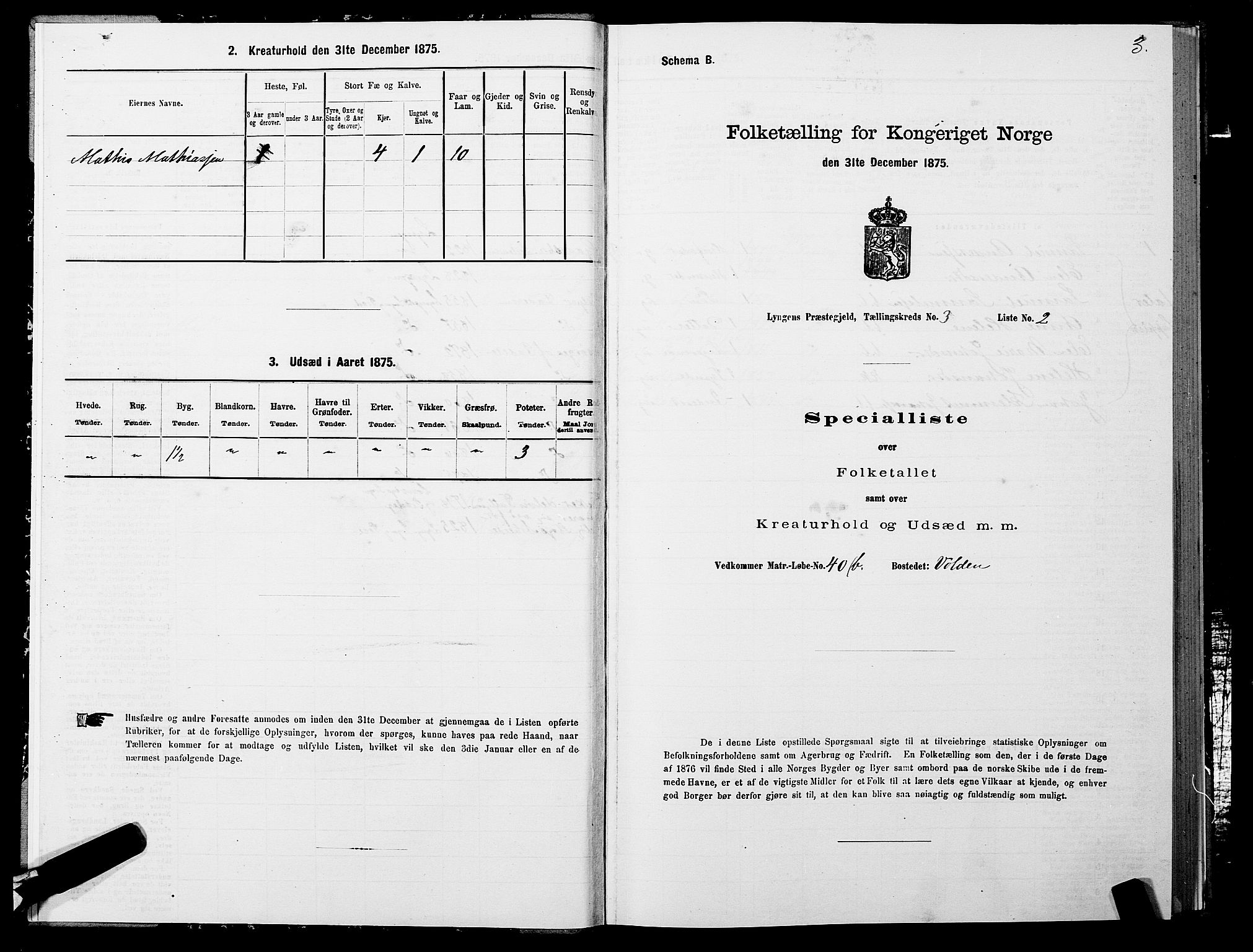 SATØ, 1875 census for 1938P Lyngen, 1875, p. 3003