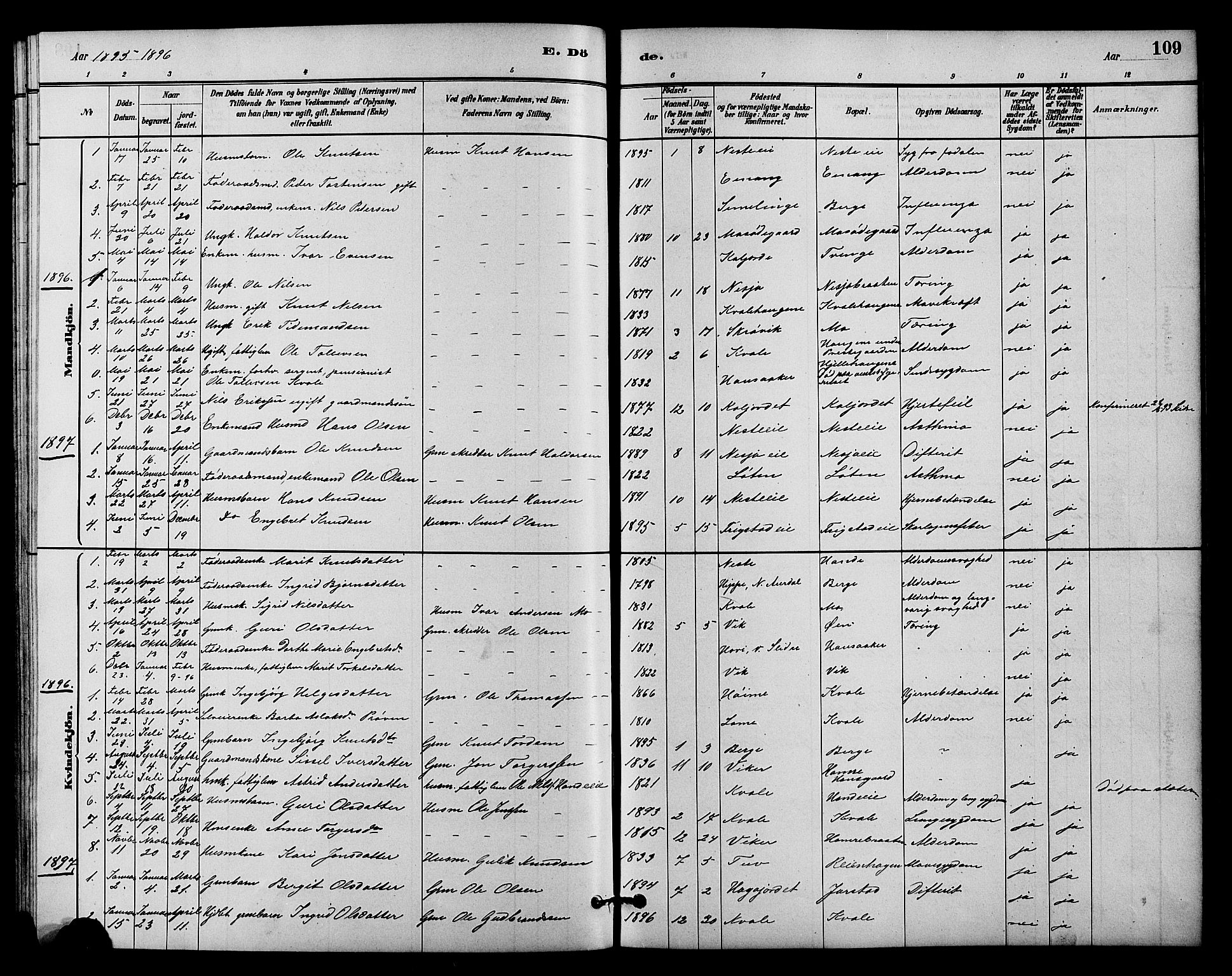 Vestre Slidre prestekontor, SAH/PREST-136/H/Ha/Hab/L0004: Parish register (copy) no. 4, 1881-1912, p. 109
