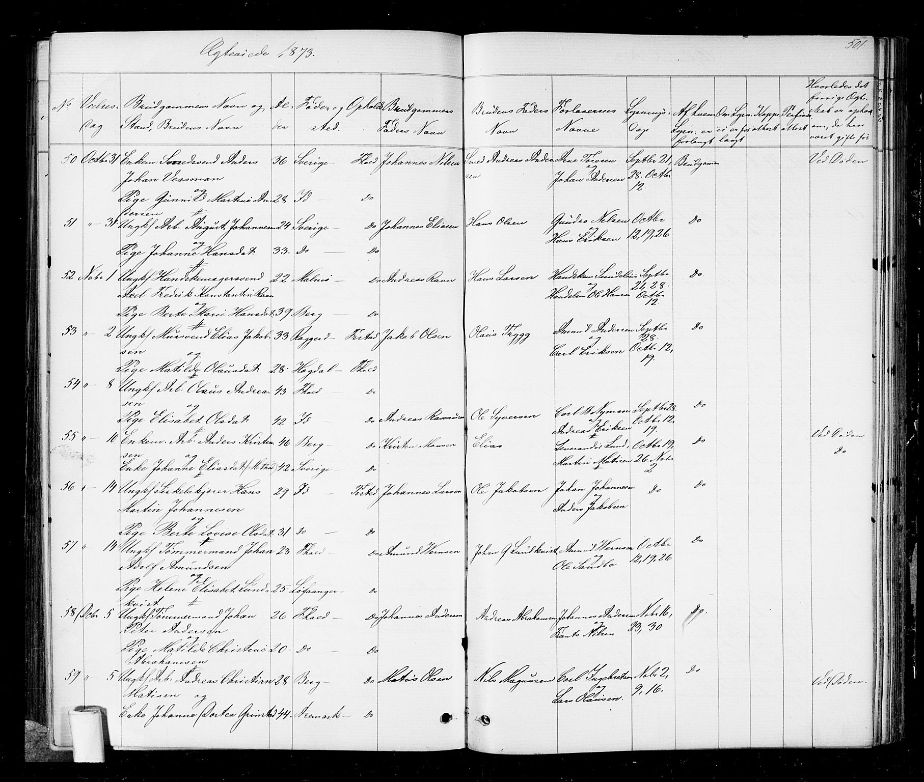 Halden prestekontor Kirkebøker, AV/SAO-A-10909/G/Ga/L0006: Parish register (copy) no. 6, 1869-1884, p. 501
