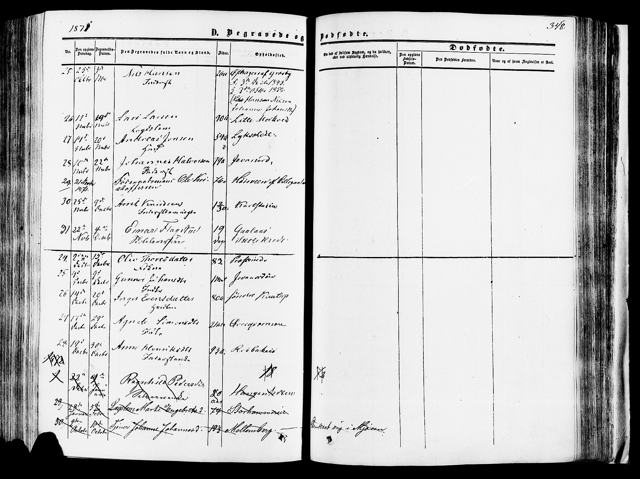 Vang prestekontor, Hedmark, AV/SAH-PREST-008/H/Ha/Haa/L0013: Parish register (official) no. 13, 1855-1879, p. 348