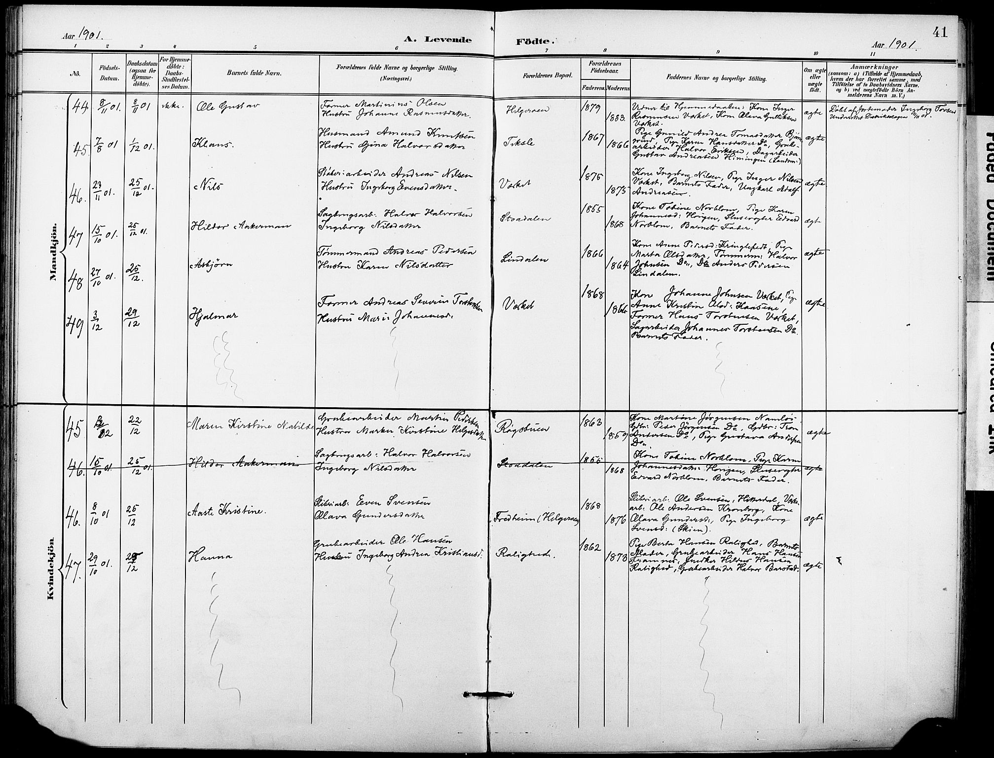 Holla kirkebøker, SAKO/A-272/F/Fa/L0010: Parish register (official) no. 10, 1897-1907, p. 41