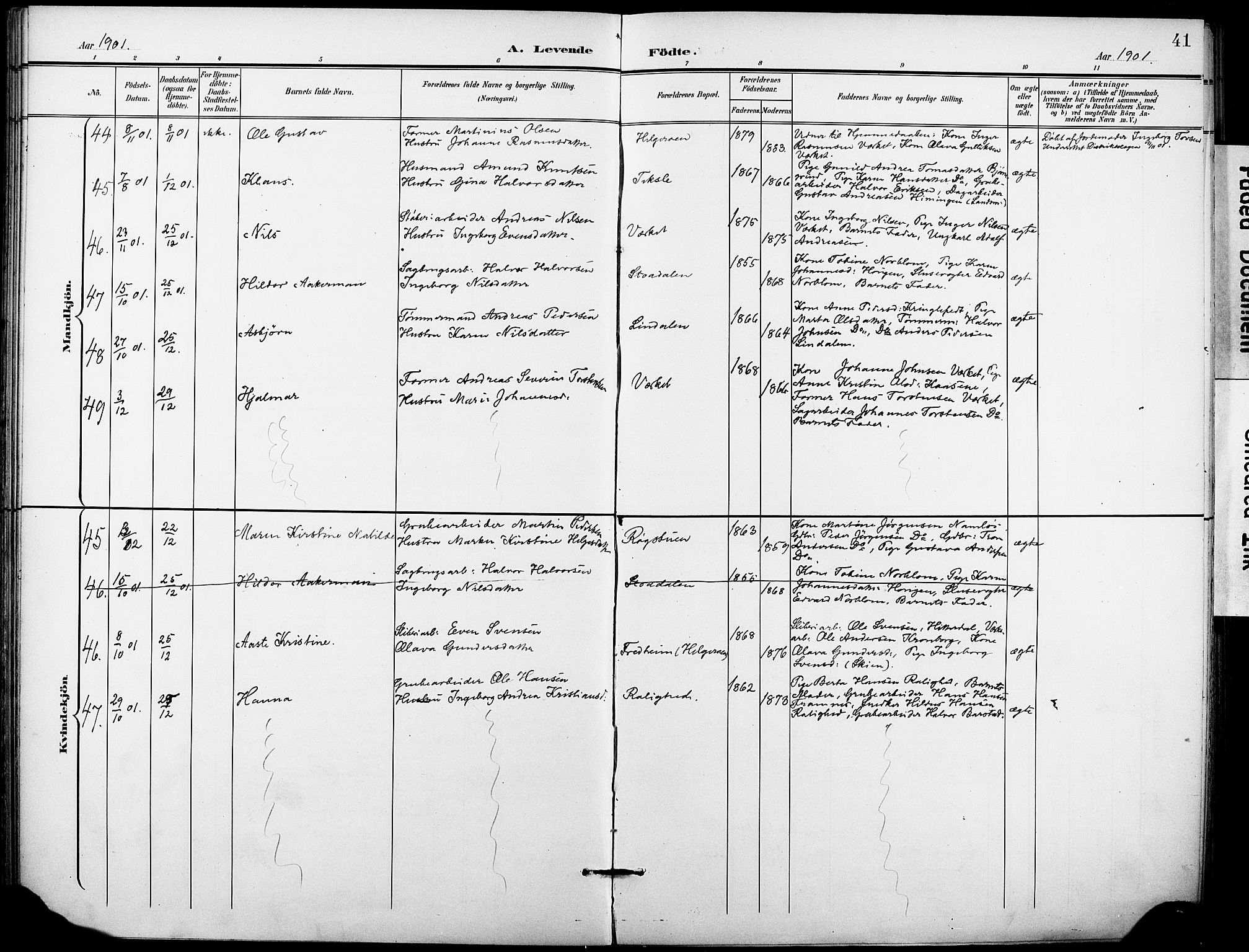 Holla kirkebøker, AV/SAKO-A-272/F/Fa/L0010: Parish register (official) no. 10, 1897-1907, p. 41