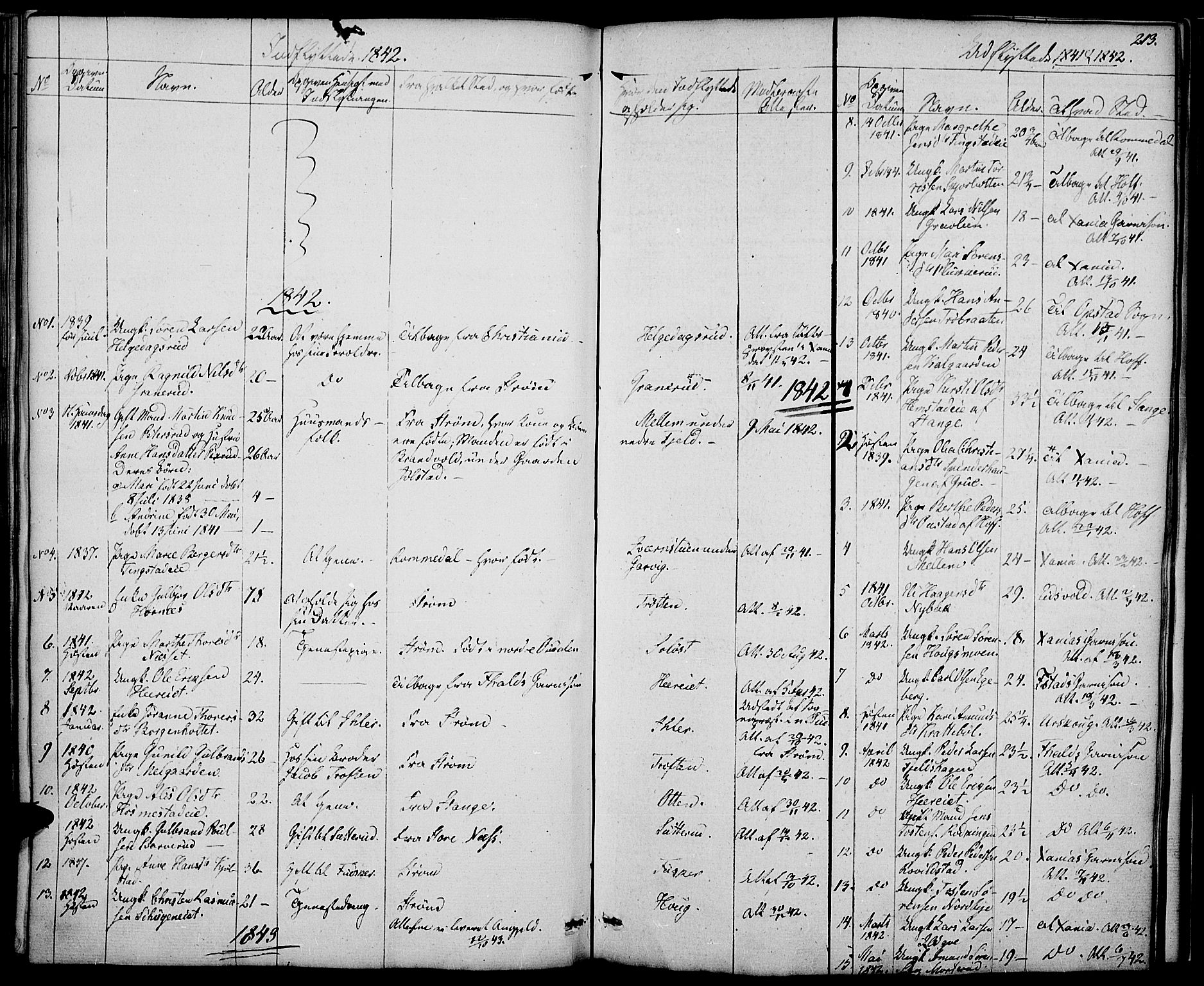 Nord-Odal prestekontor, SAH/PREST-032/H/Ha/Haa/L0002: Parish register (official) no. 2, 1839-1850, p. 213
