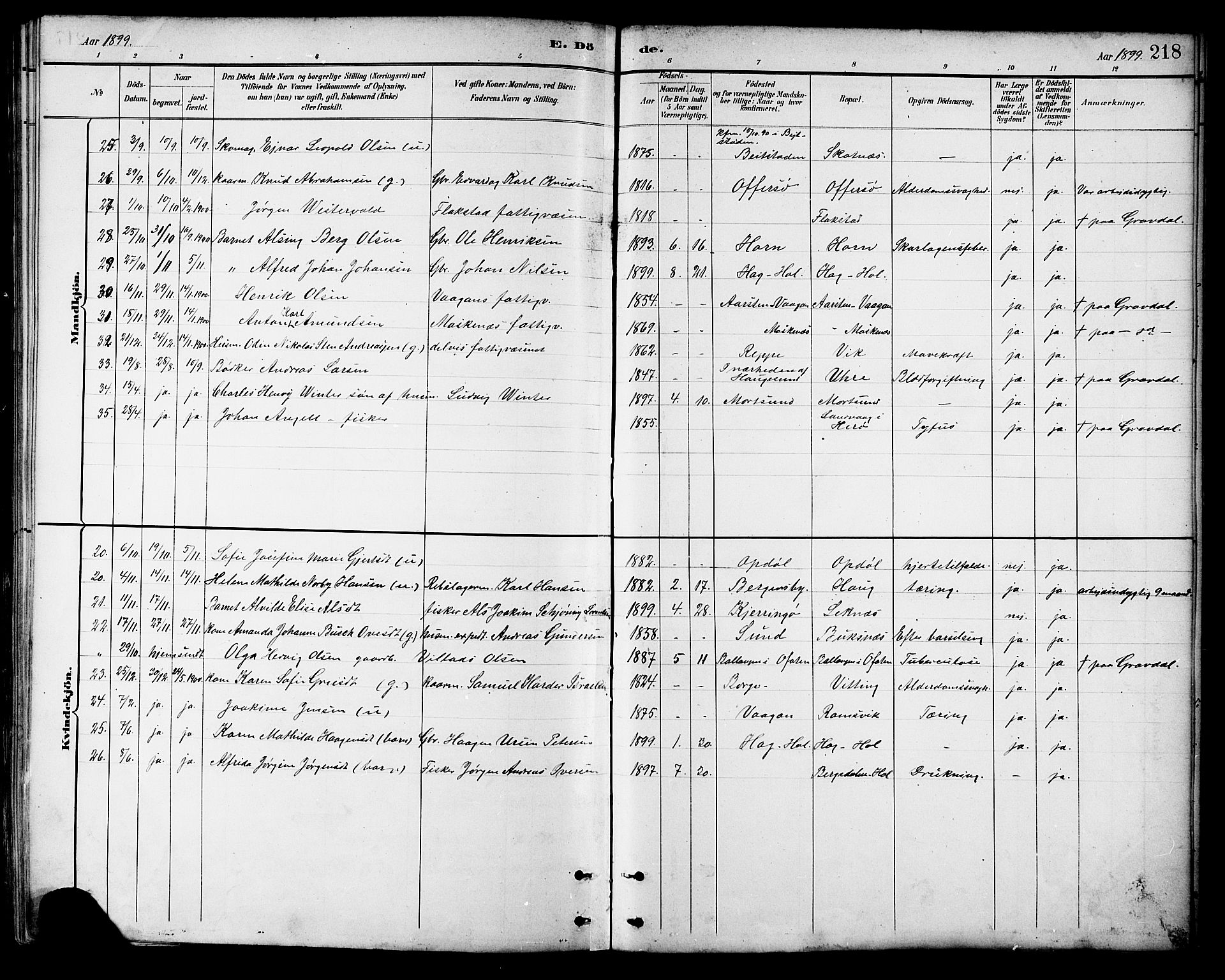 Ministerialprotokoller, klokkerbøker og fødselsregistre - Nordland, AV/SAT-A-1459/881/L1167: Parish register (copy) no. 881C04, 1886-1899, p. 218