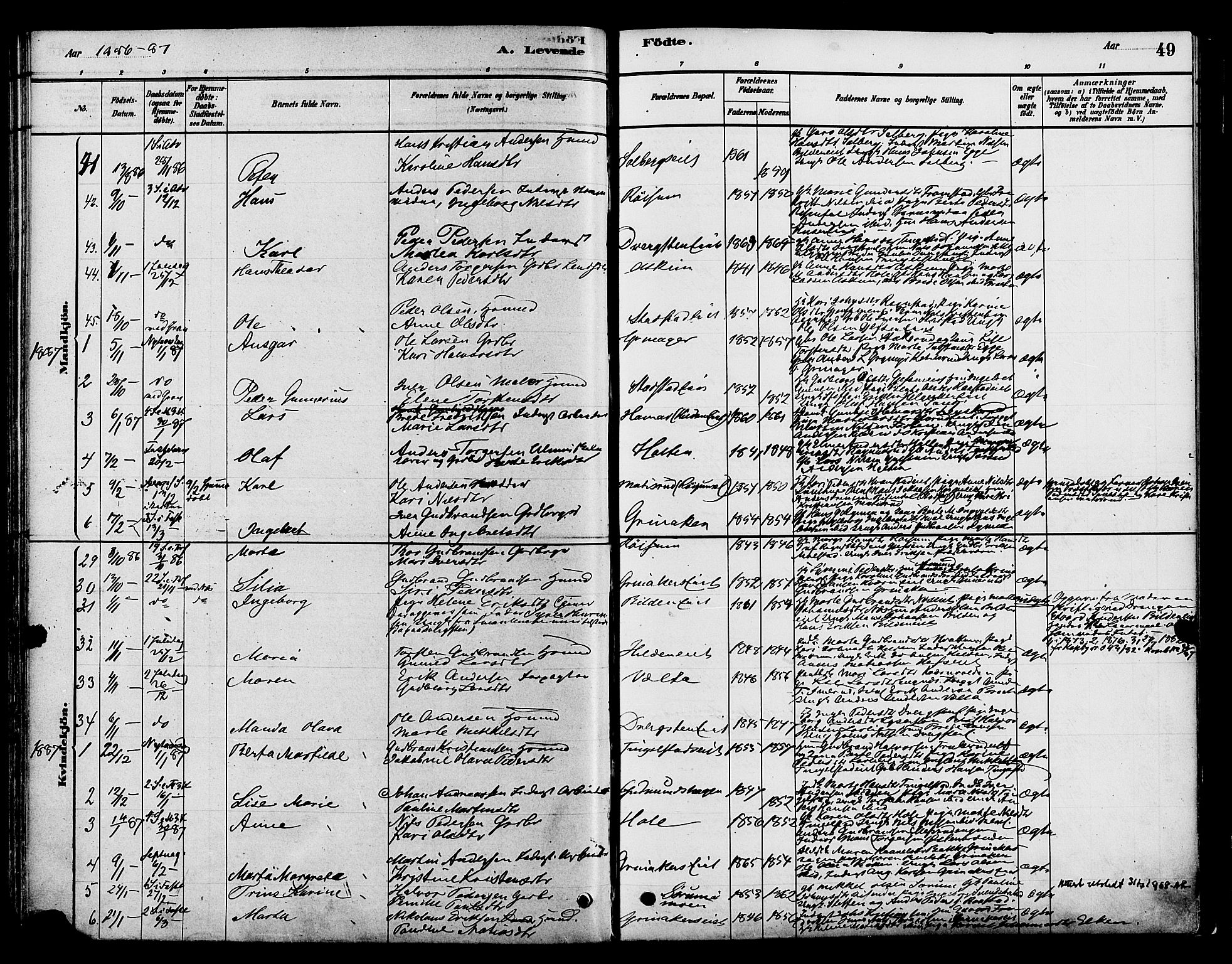 Gran prestekontor, SAH/PREST-112/H/Ha/Haa/L0016: Parish register (official) no. 16, 1880-1888, p. 49