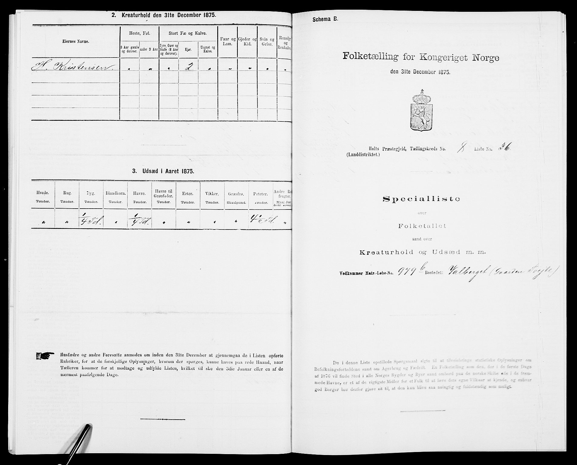 SAK, 1875 census for 0914L Holt/Holt, 1875, p. 1032