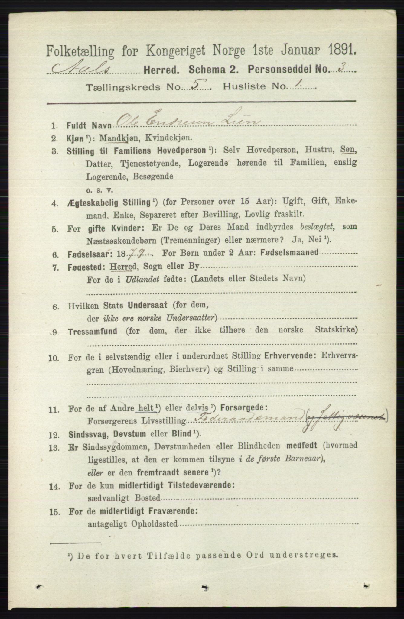 RA, 1891 census for 0619 Ål, 1891, p. 1363