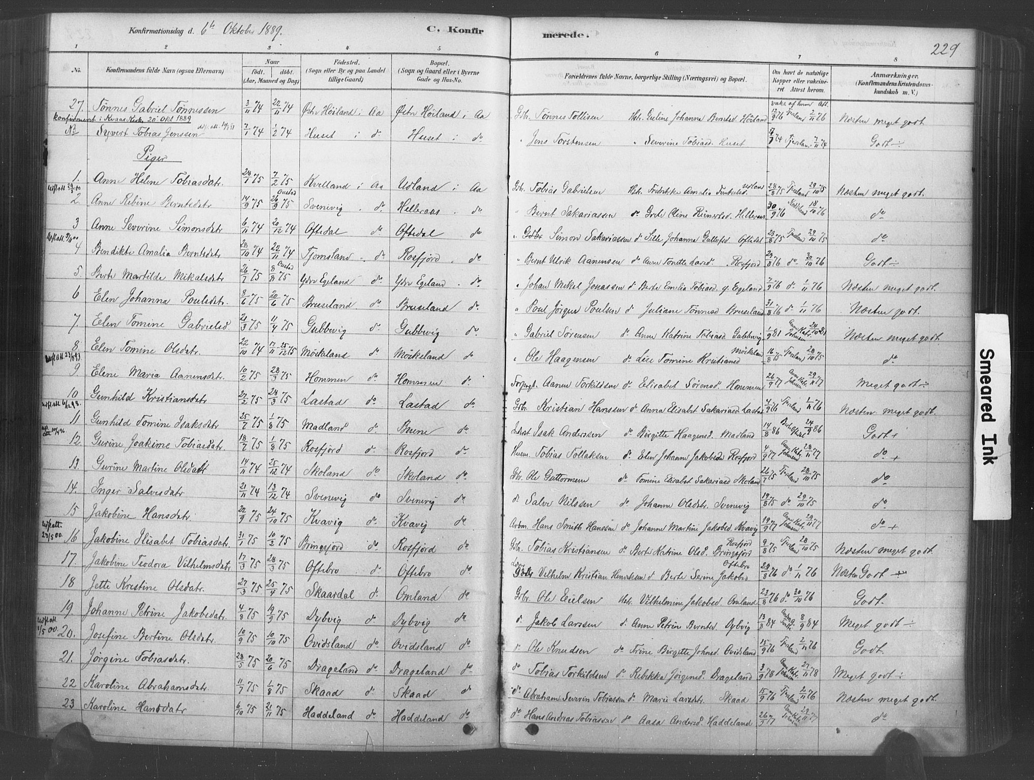 Lyngdal sokneprestkontor, AV/SAK-1111-0029/F/Fa/Fac/L0011: Parish register (official) no. A 11, 1878-1893, p. 229