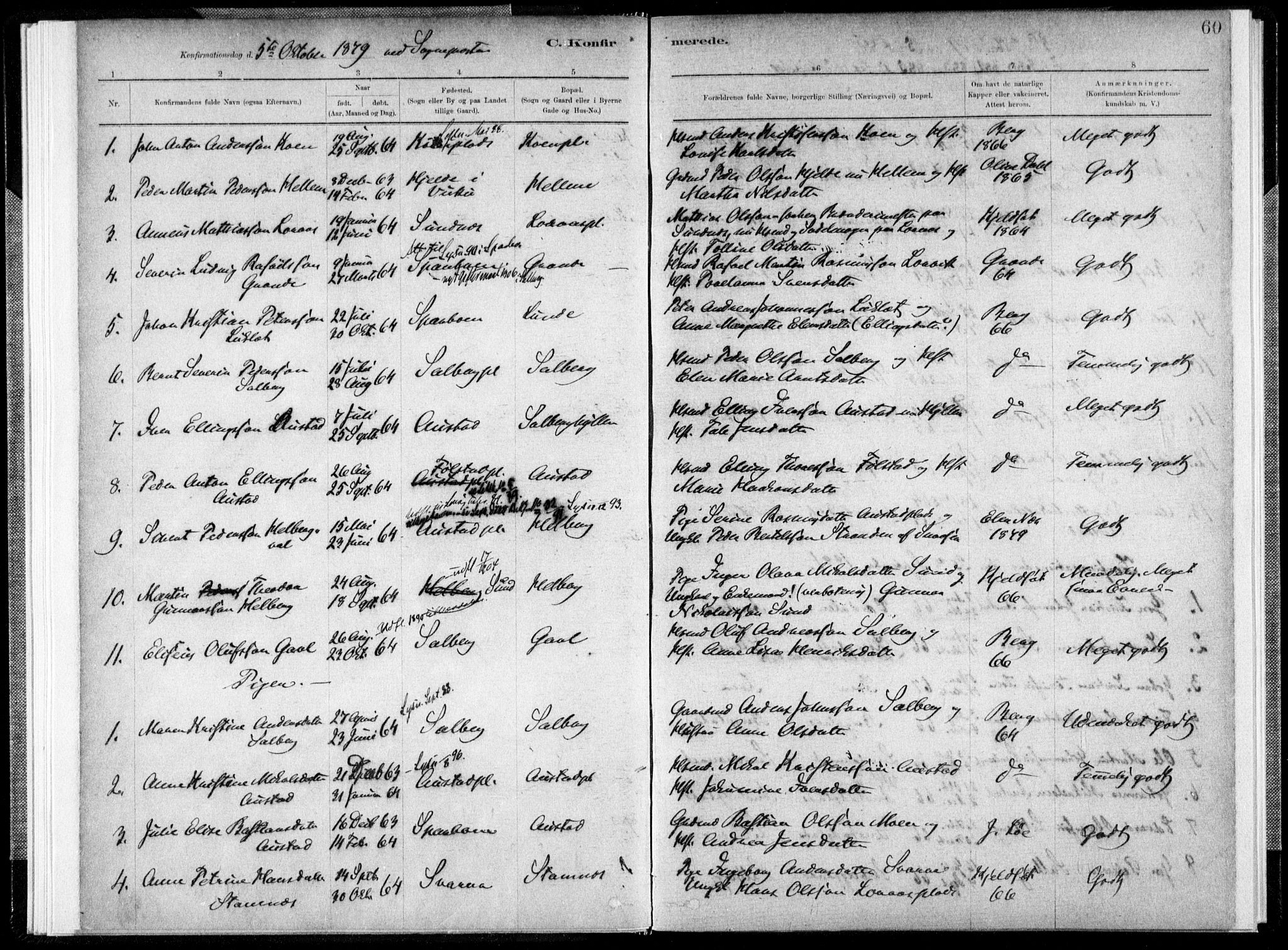 Ministerialprotokoller, klokkerbøker og fødselsregistre - Nord-Trøndelag, SAT/A-1458/731/L0309: Parish register (official) no. 731A01, 1879-1918, p. 60