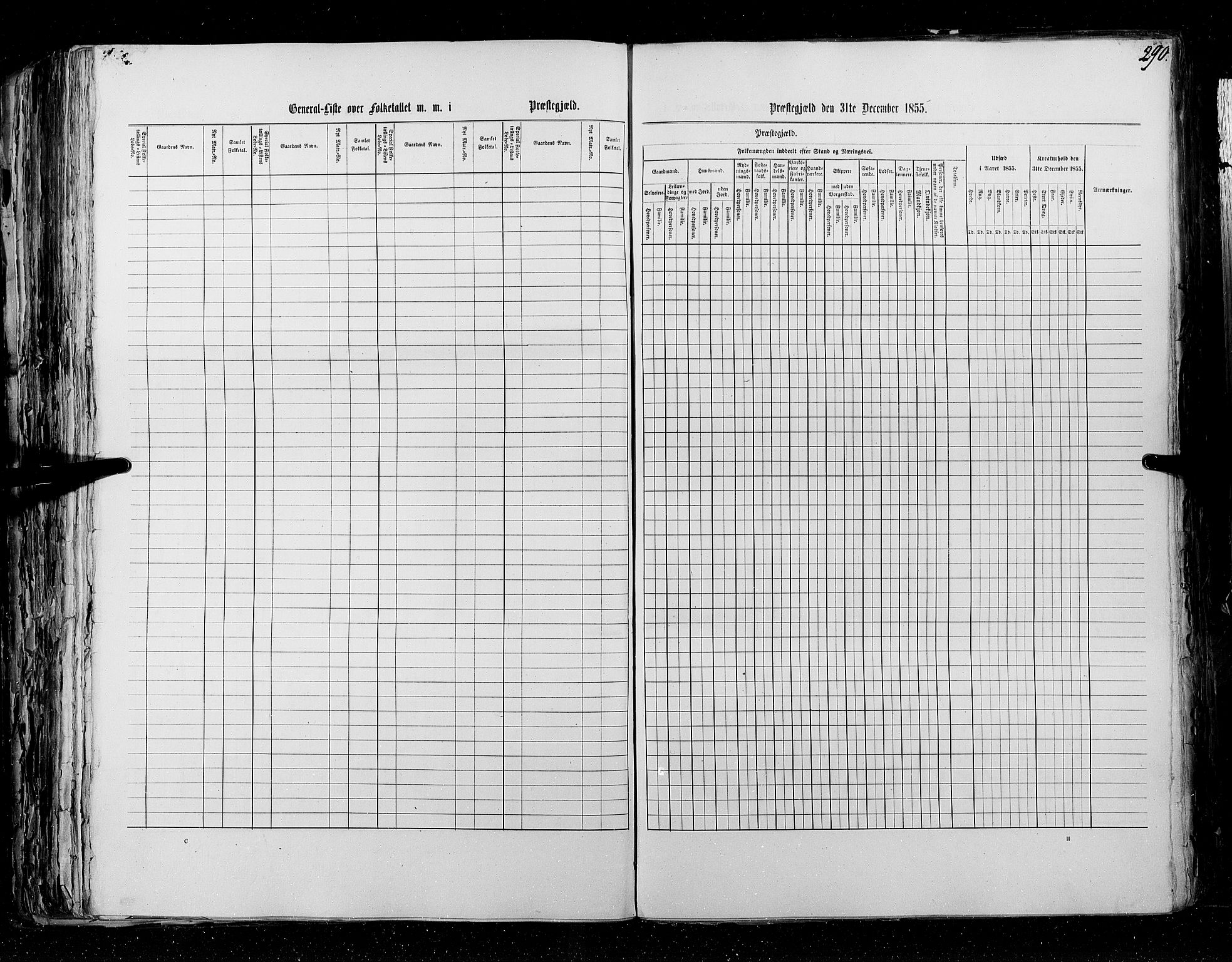 RA, Census 1855, vol. 5: Nordre Bergenhus amt, Romsdal amt og Søndre Trondhjem amt, 1855, p. 290