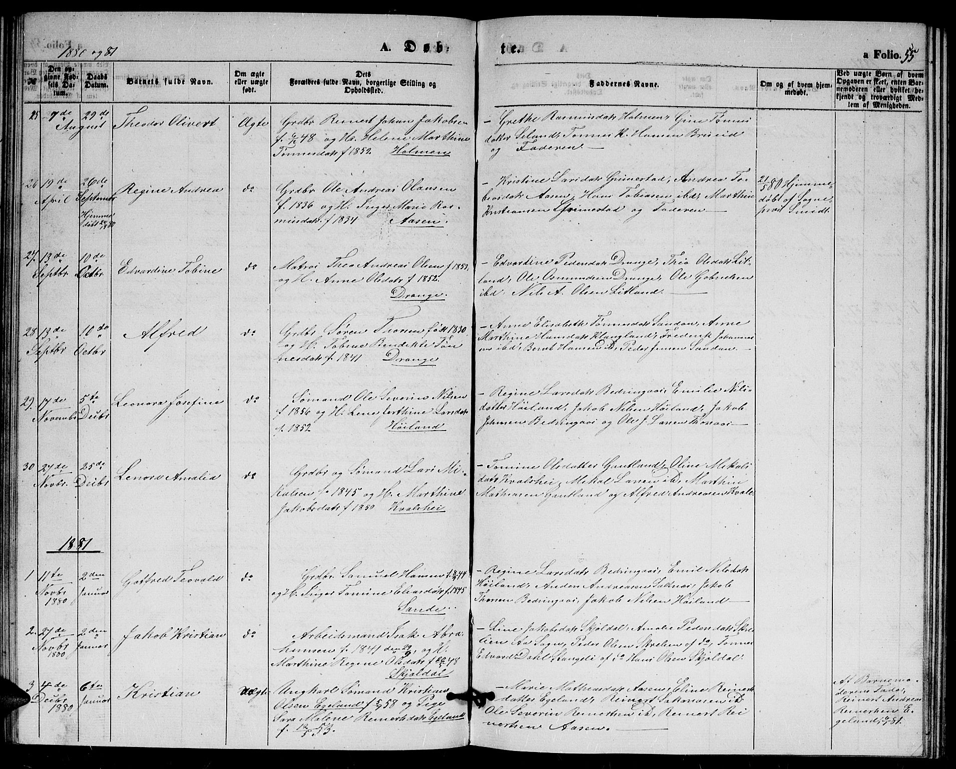 Herad sokneprestkontor, AV/SAK-1111-0018/F/Fb/Fba/L0003: Parish register (copy) no. B 3, 1863-1883, p. 55