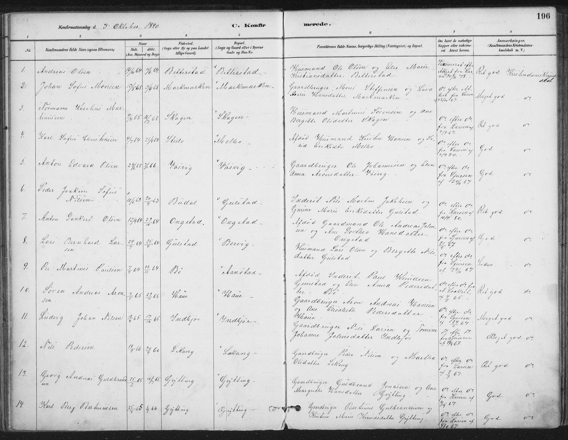 Ministerialprotokoller, klokkerbøker og fødselsregistre - Nordland, AV/SAT-A-1459/888/L1244: Parish register (official) no. 888A10, 1880-1890, p. 196