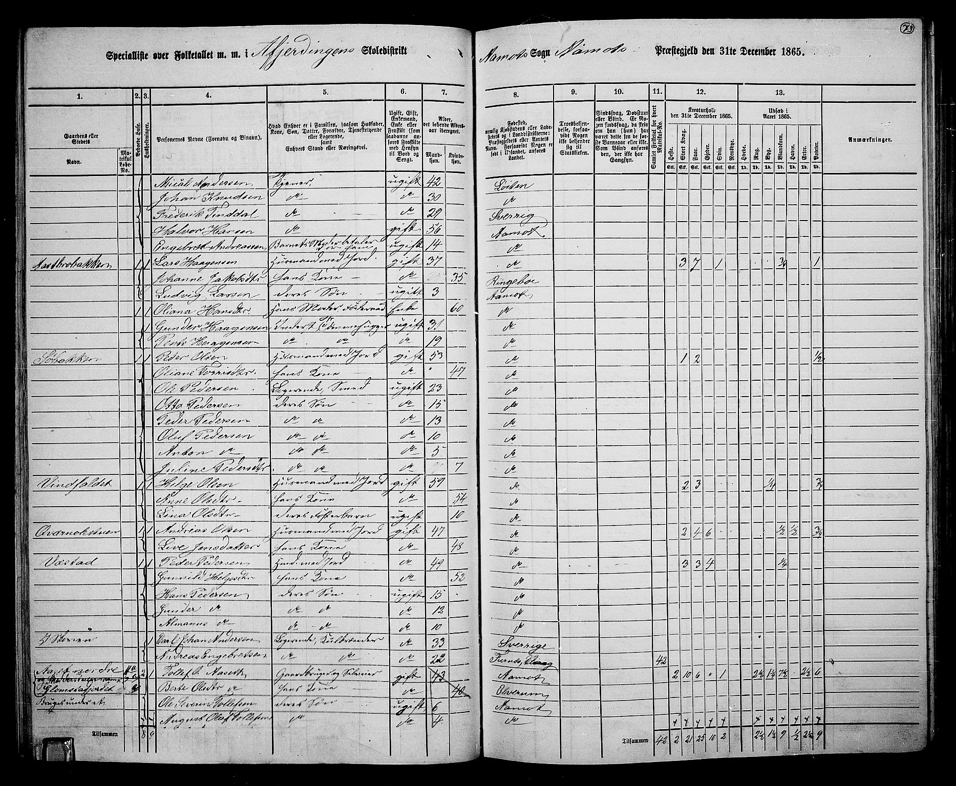 RA, 1865 census for Åmot, 1865, p. 68