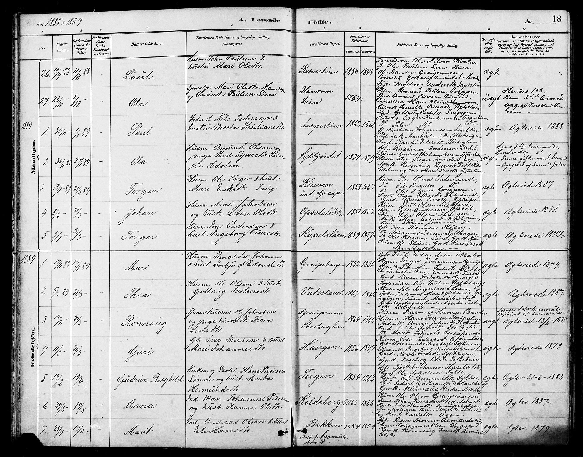 Nord-Fron prestekontor, SAH/PREST-080/H/Ha/Hab/L0005: Parish register (copy) no. 5, 1884-1914, p. 18
