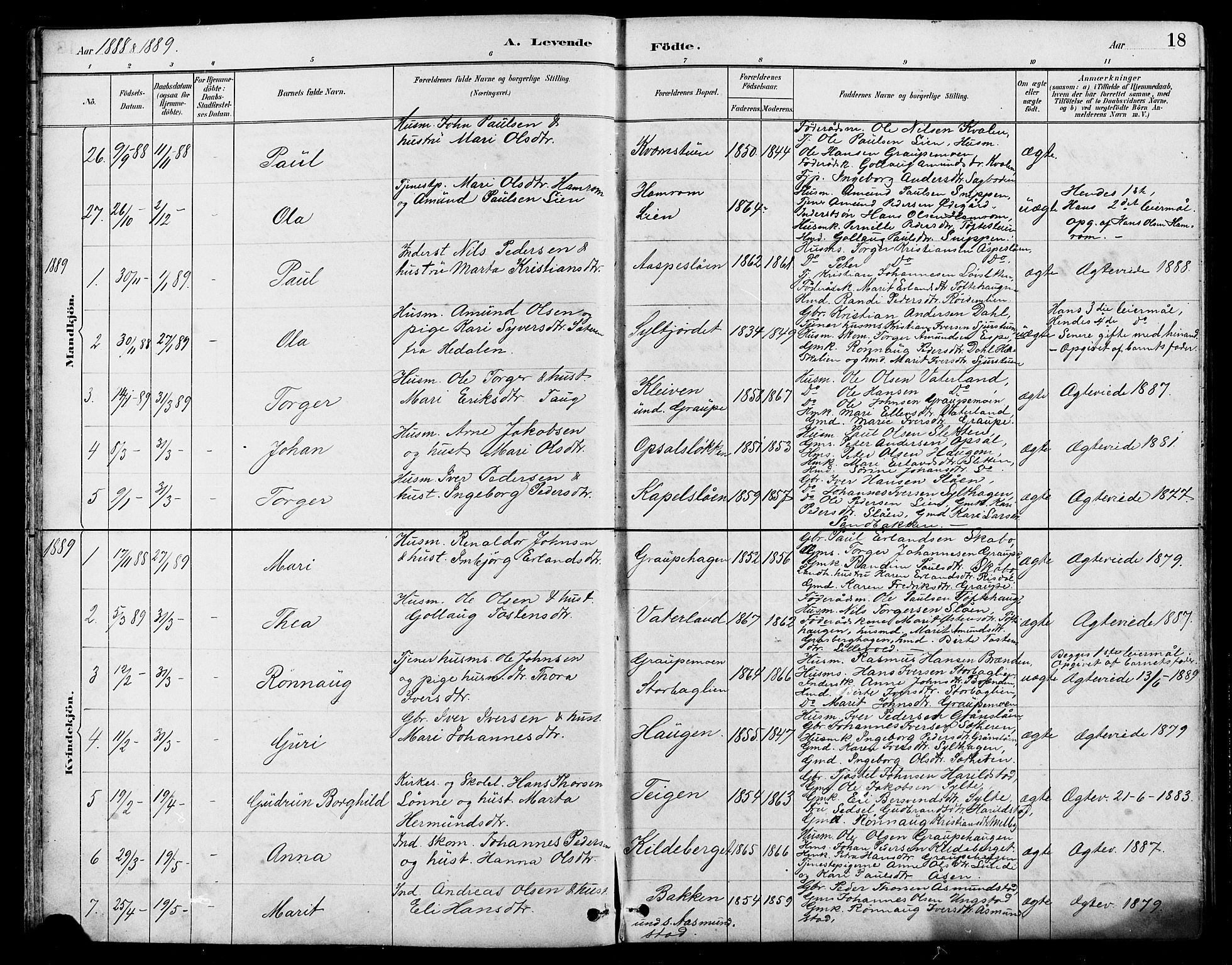 Nord-Fron prestekontor, AV/SAH-PREST-080/H/Ha/Hab/L0005: Parish register (copy) no. 5, 1884-1914, p. 18