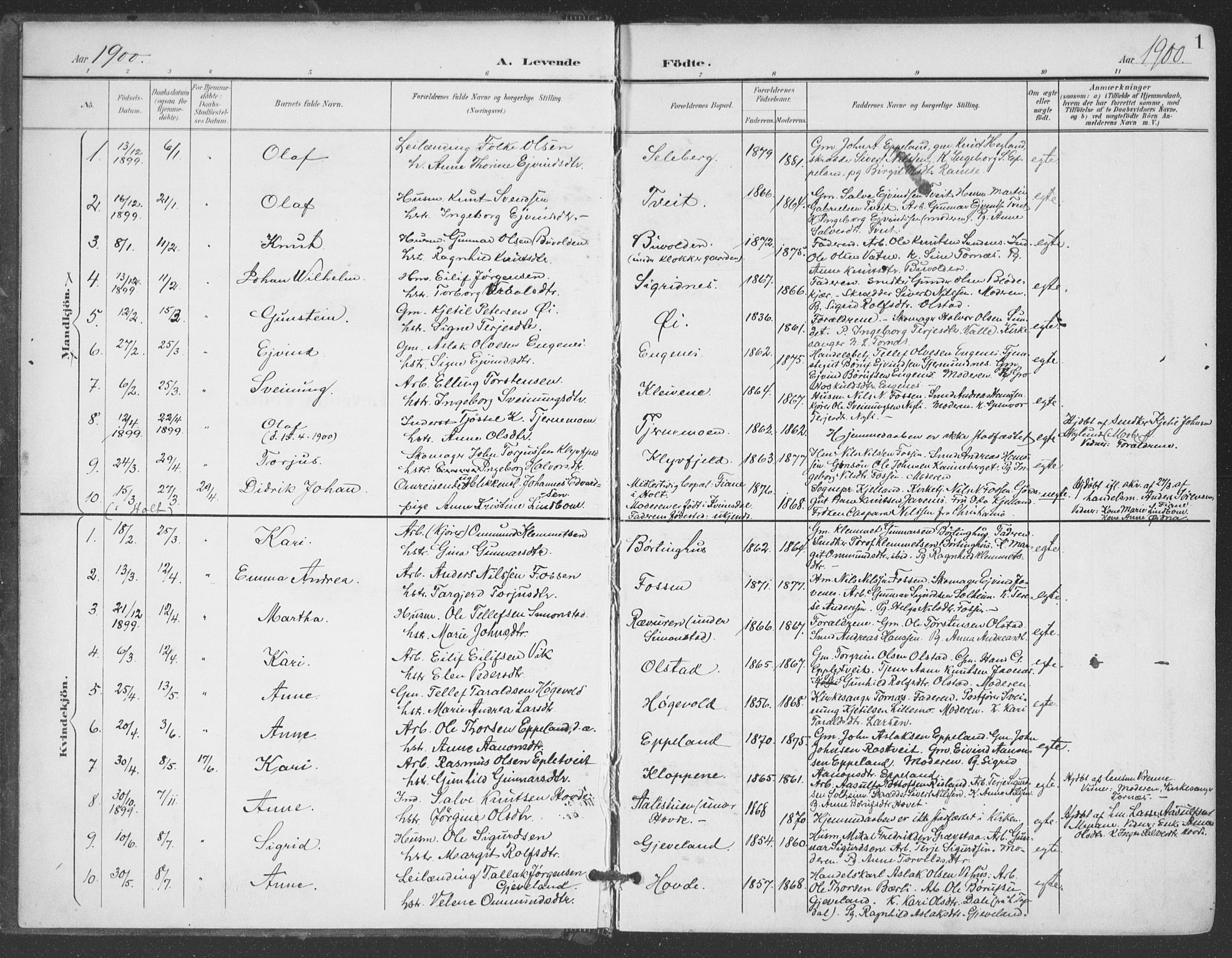 Åmli sokneprestkontor, SAK/1111-0050/F/Fa/Fac/L0012: Parish register (official) no. A 12, 1900-1914, p. 1