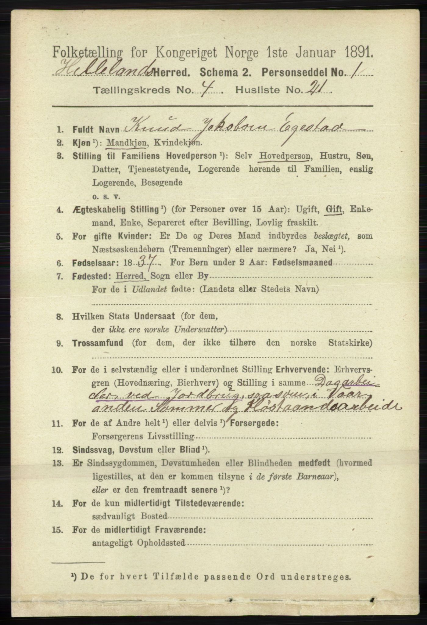 RA, 1891 census for 1115 Helleland, 1891, p. 1293