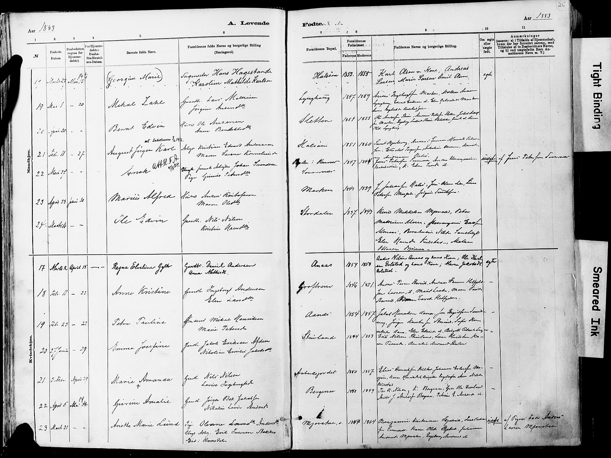 Ministerialprotokoller, klokkerbøker og fødselsregistre - Nordland, AV/SAT-A-1459/820/L0295: Parish register (official) no. 820A16, 1880-1896, p. 25