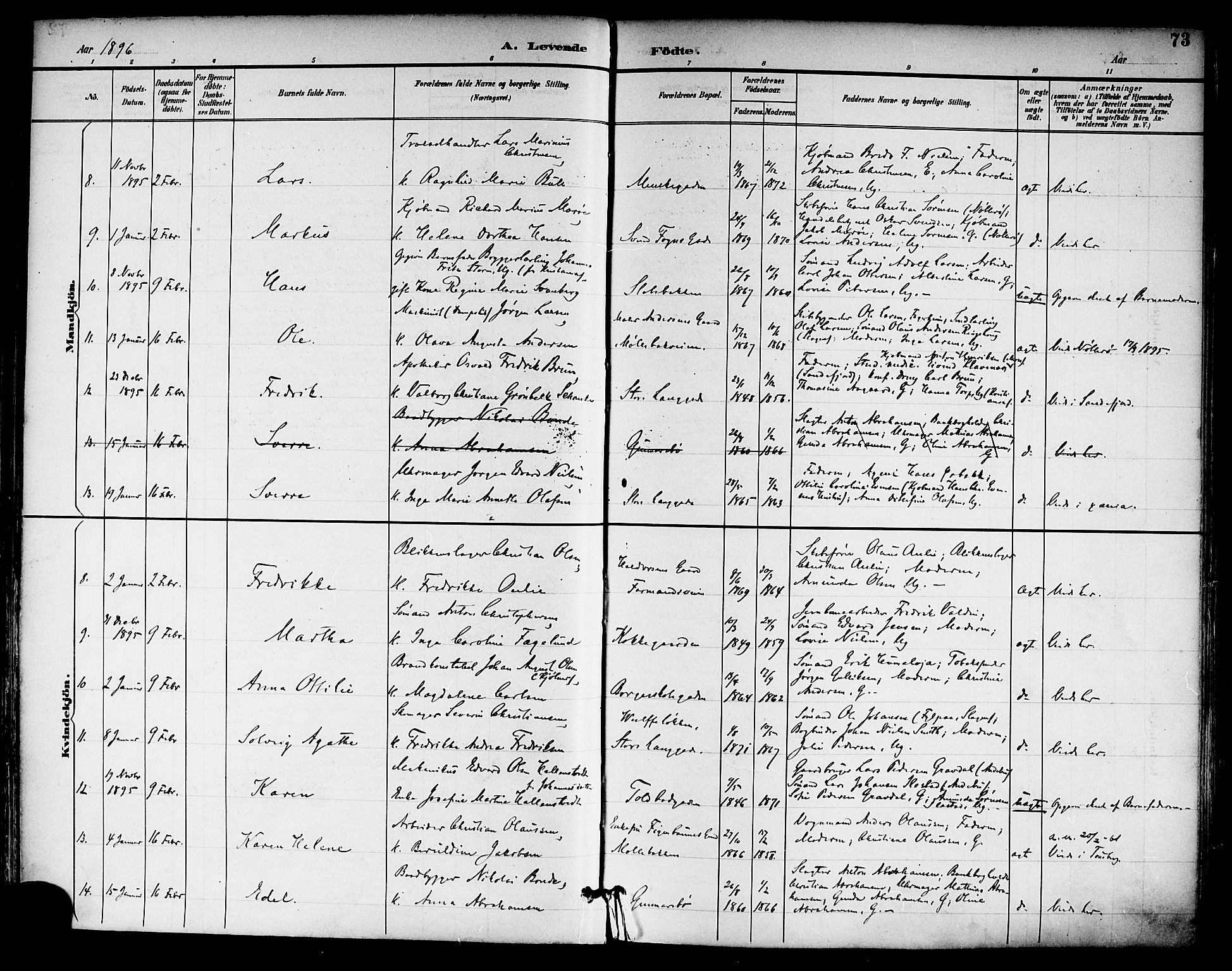 Tønsberg kirkebøker, AV/SAKO-A-330/F/Fa/L0012: Parish register (official) no. I 12, 1891-1899, p. 73