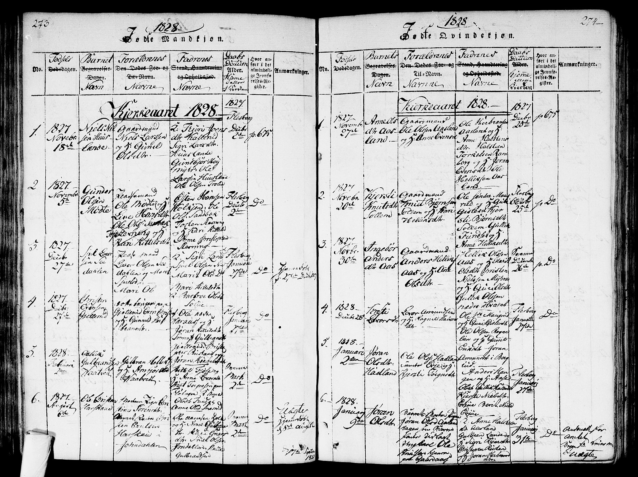 Flesberg kirkebøker, SAKO/A-18/G/Ga/L0001: Parish register (copy) no. I 1, 1816-1834, p. 273-274