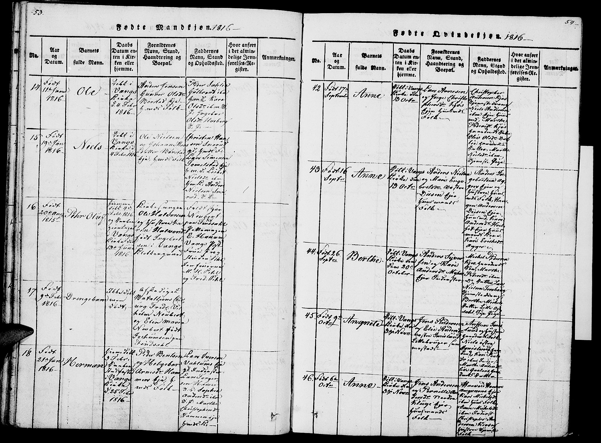 Vang prestekontor, Hedmark, AV/SAH-PREST-008/H/Ha/Haa/L0007: Parish register (official) no. 7, 1813-1826, p. 53-54