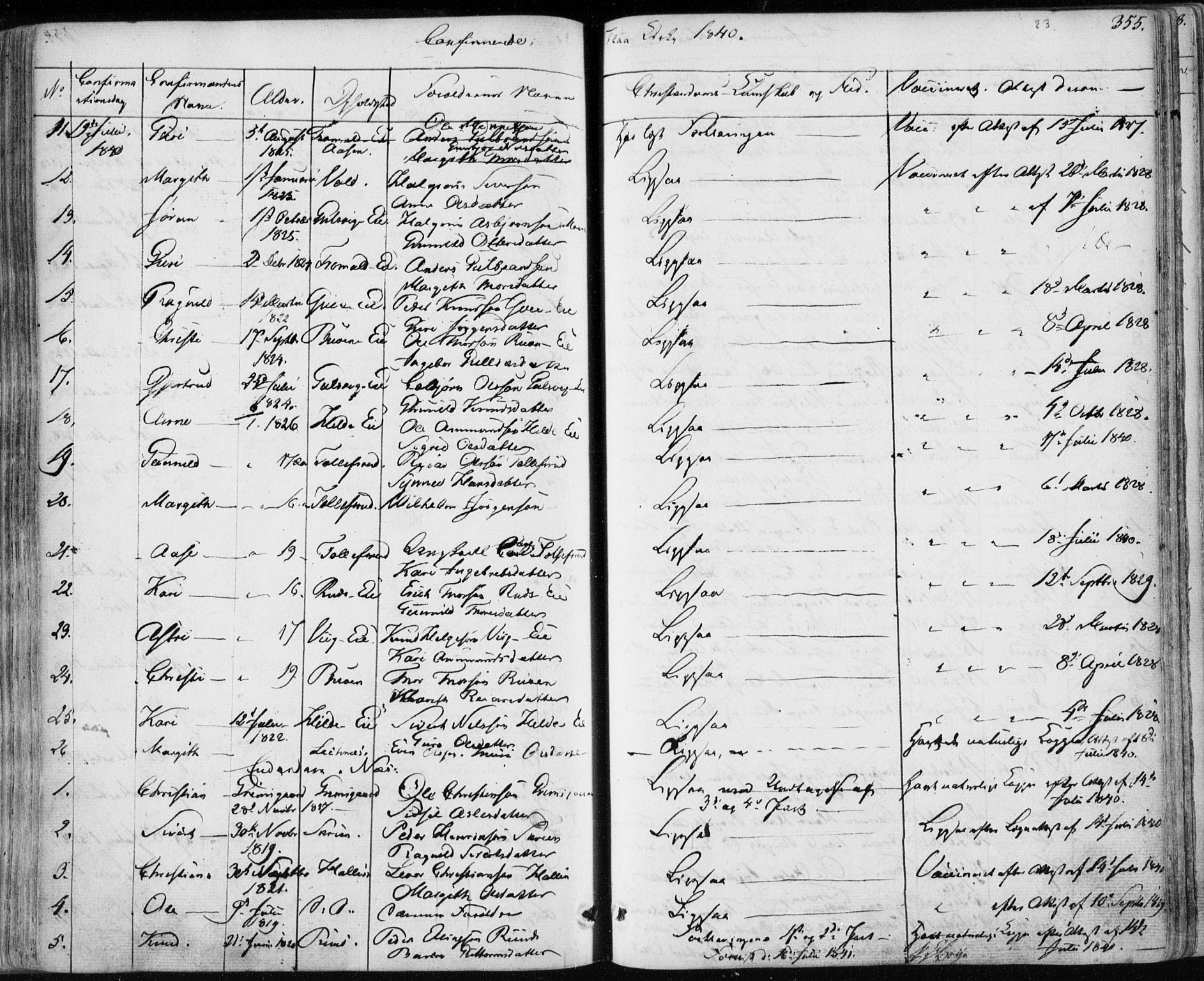 Nes kirkebøker, SAKO/A-236/F/Fa/L0009: Parish register (official) no. 9, 1834-1863, p. 355