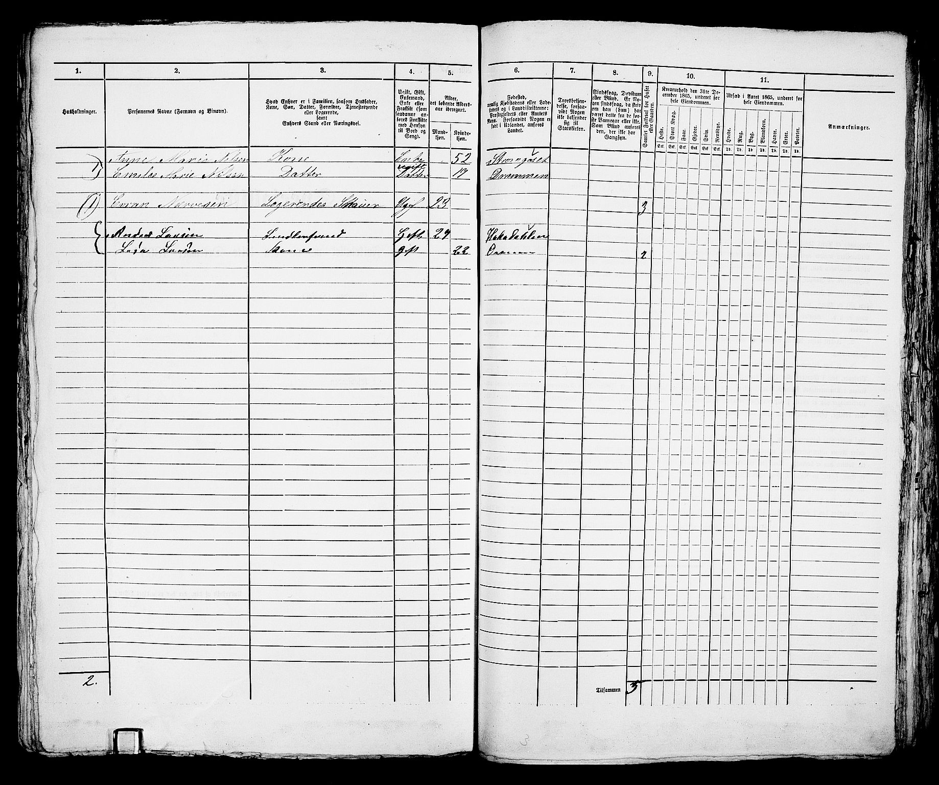 RA, 1865 census for Bragernes in Drammen, 1865, p. 1132