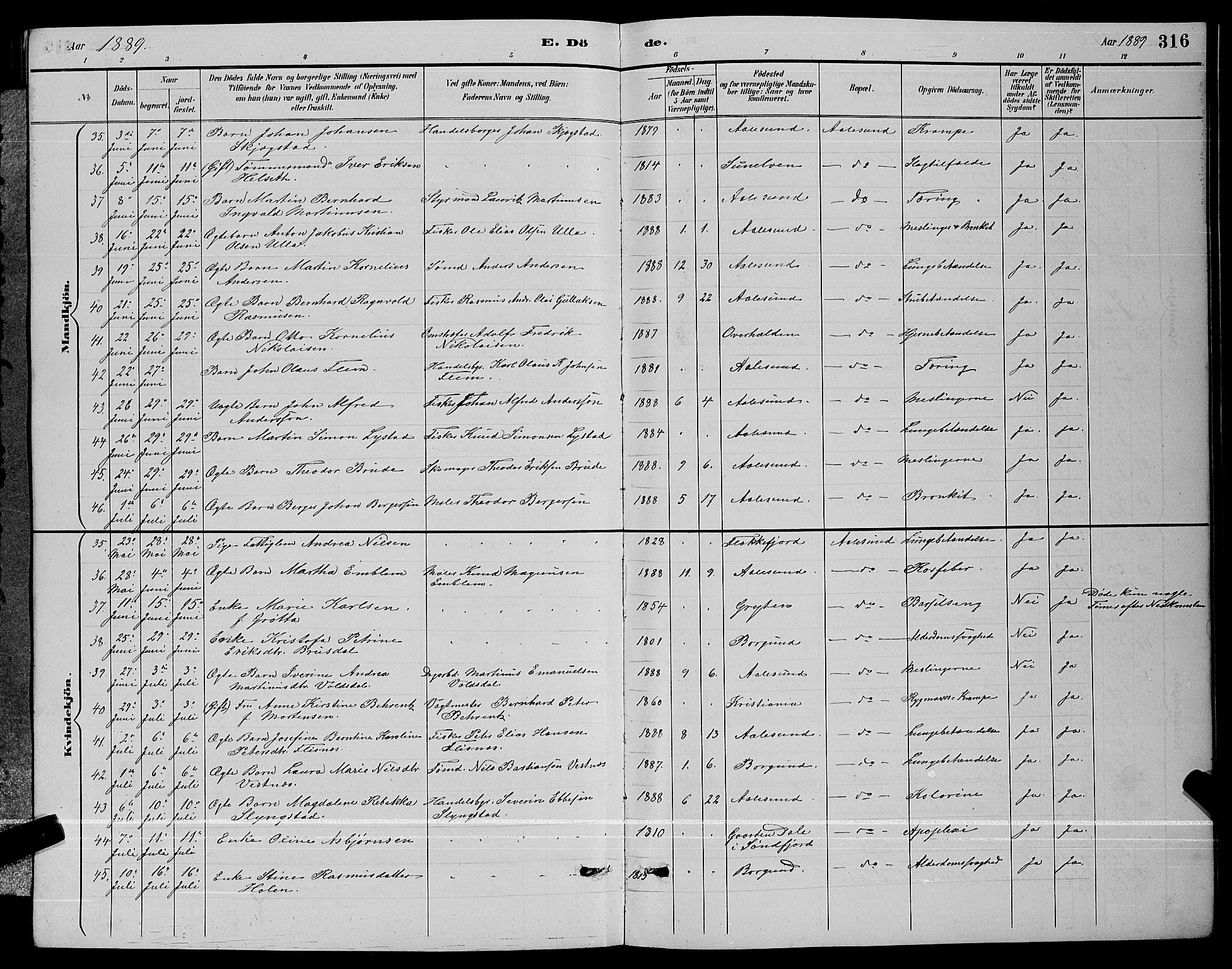 Ministerialprotokoller, klokkerbøker og fødselsregistre - Møre og Romsdal, AV/SAT-A-1454/529/L0467: Parish register (copy) no. 529C04, 1889-1897, p. 316