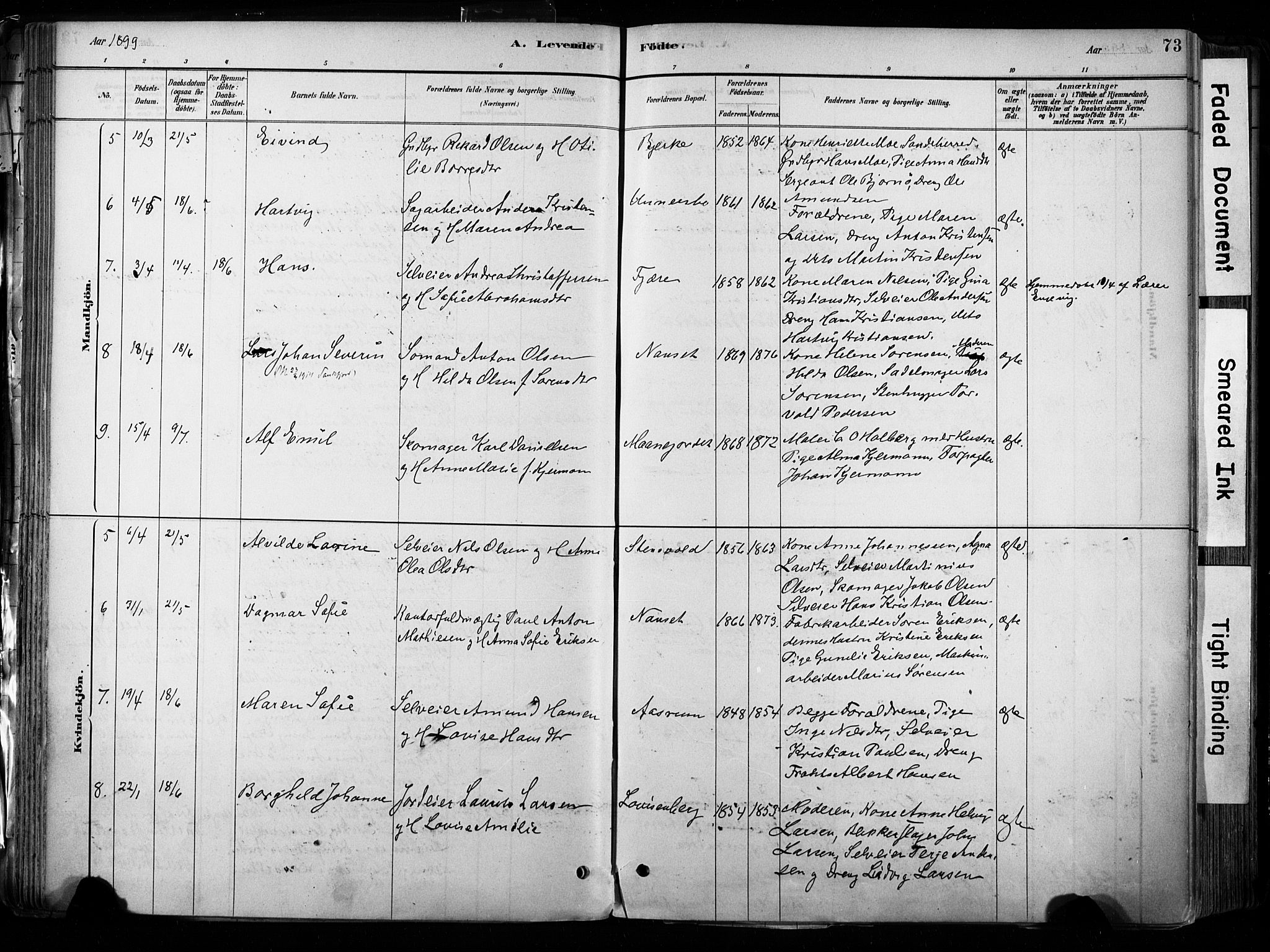 Hedrum kirkebøker, AV/SAKO-A-344/F/Fa/L0009: Parish register (official) no. I 9, 1881-1903, p. 73