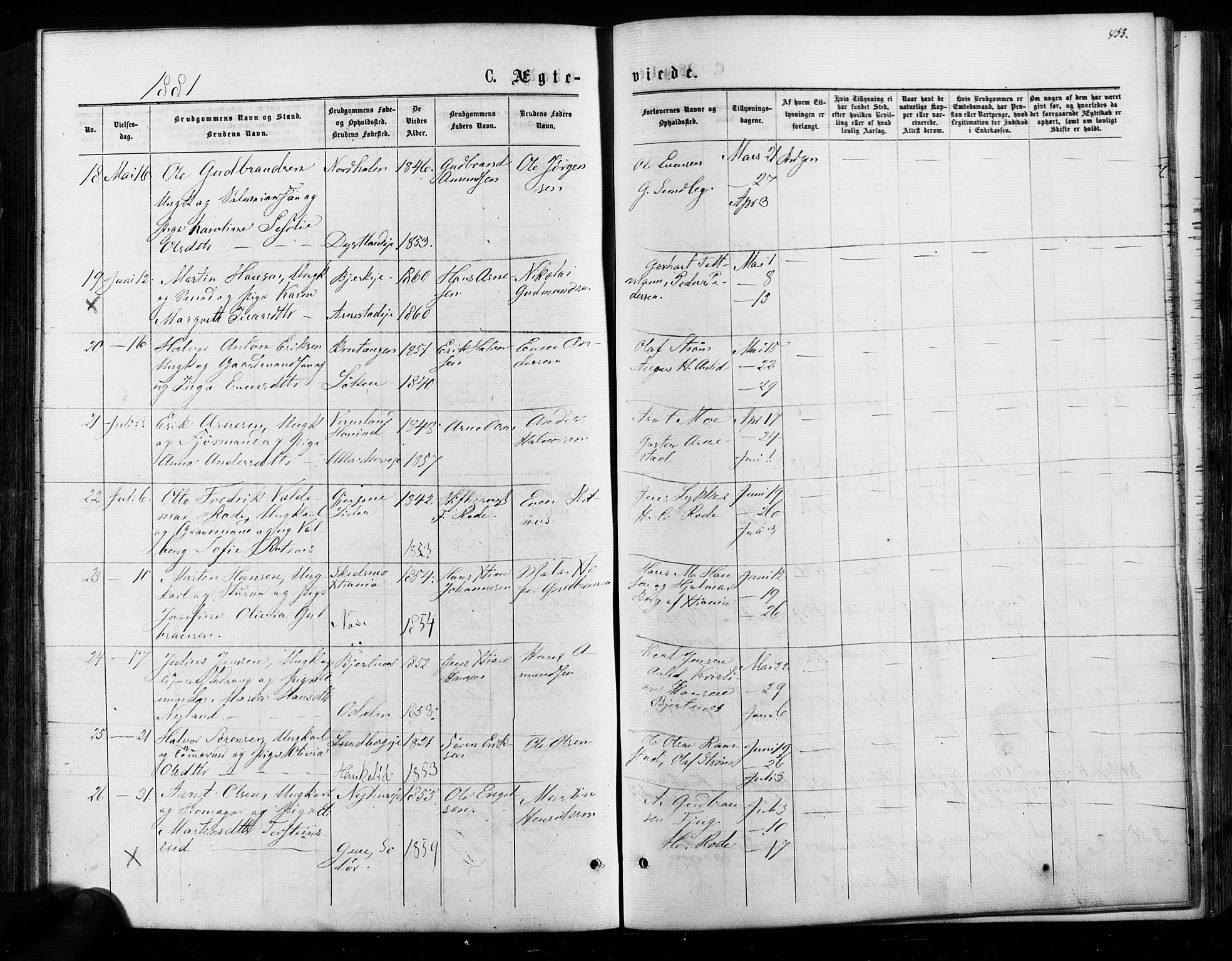 Nes prestekontor Kirkebøker, AV/SAO-A-10410/F/Fa/L0009: Parish register (official) no. I 9, 1875-1882, p. 453