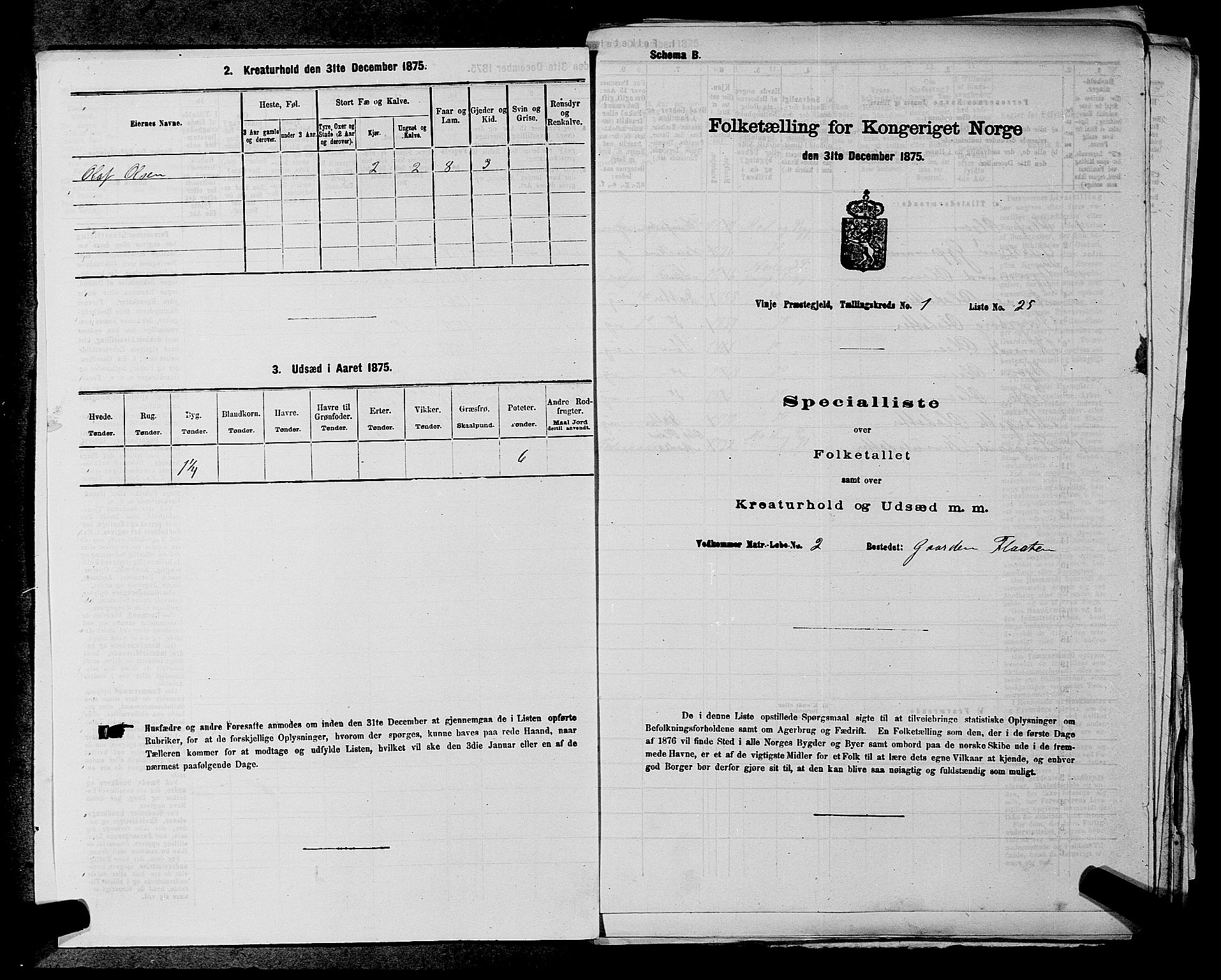 SAKO, 1875 census for 0834P Vinje, 1875, p. 47