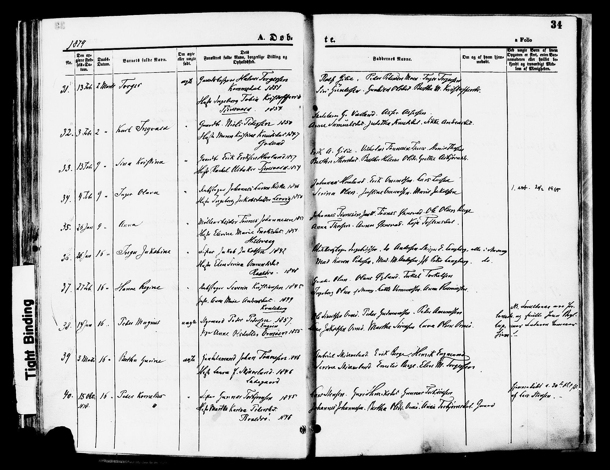 Hetland sokneprestkontor, AV/SAST-A-101826/30/30BA/L0008: Parish register (official) no. A 8, 1877-1884, p. 34