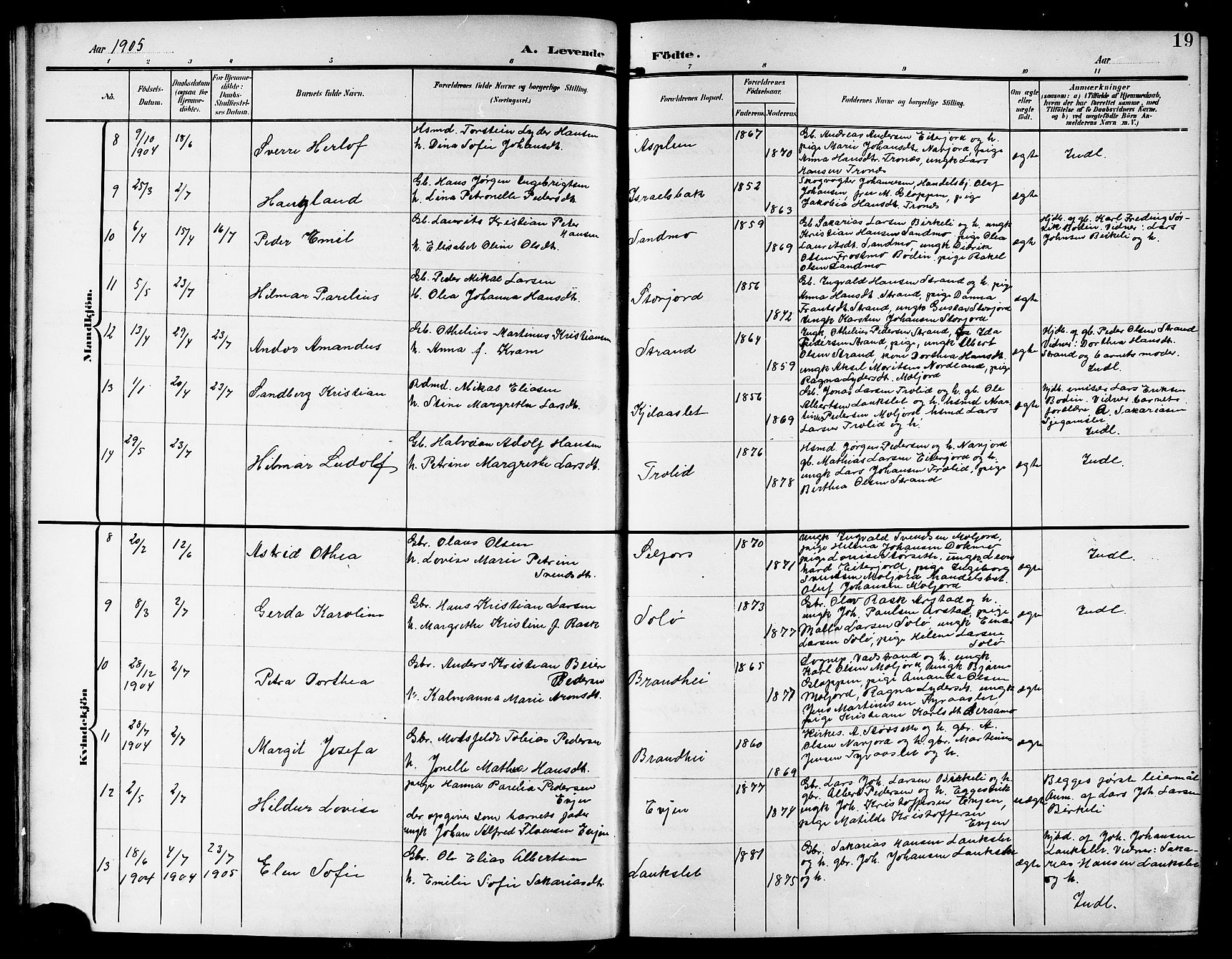 Ministerialprotokoller, klokkerbøker og fødselsregistre - Nordland, AV/SAT-A-1459/846/L0655: Parish register (copy) no. 846C05, 1902-1916, p. 19