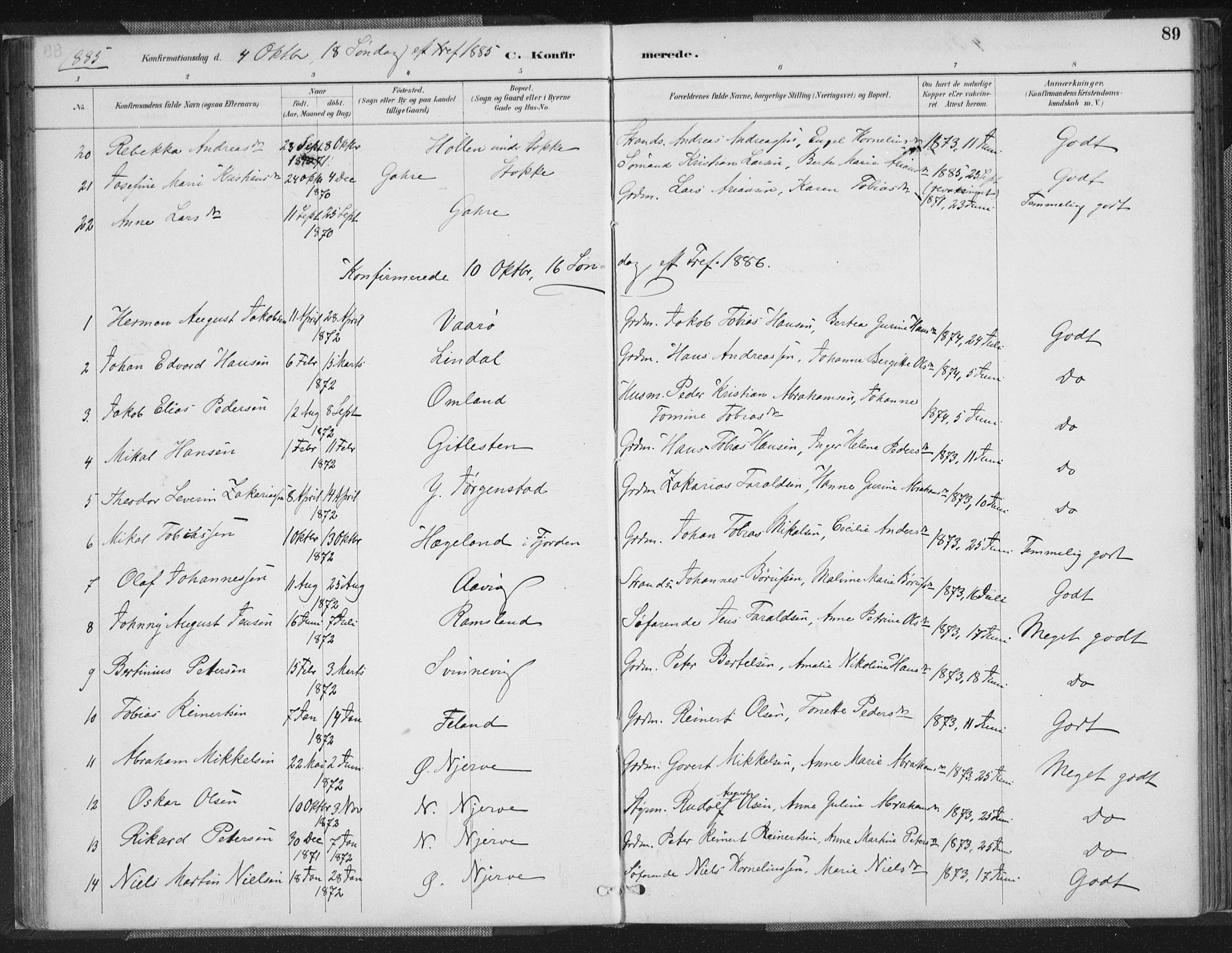 Sør-Audnedal sokneprestkontor, SAK/1111-0039/F/Fa/Faa/L0004: Parish register (official) no. A 4, 1884-1909, p. 89