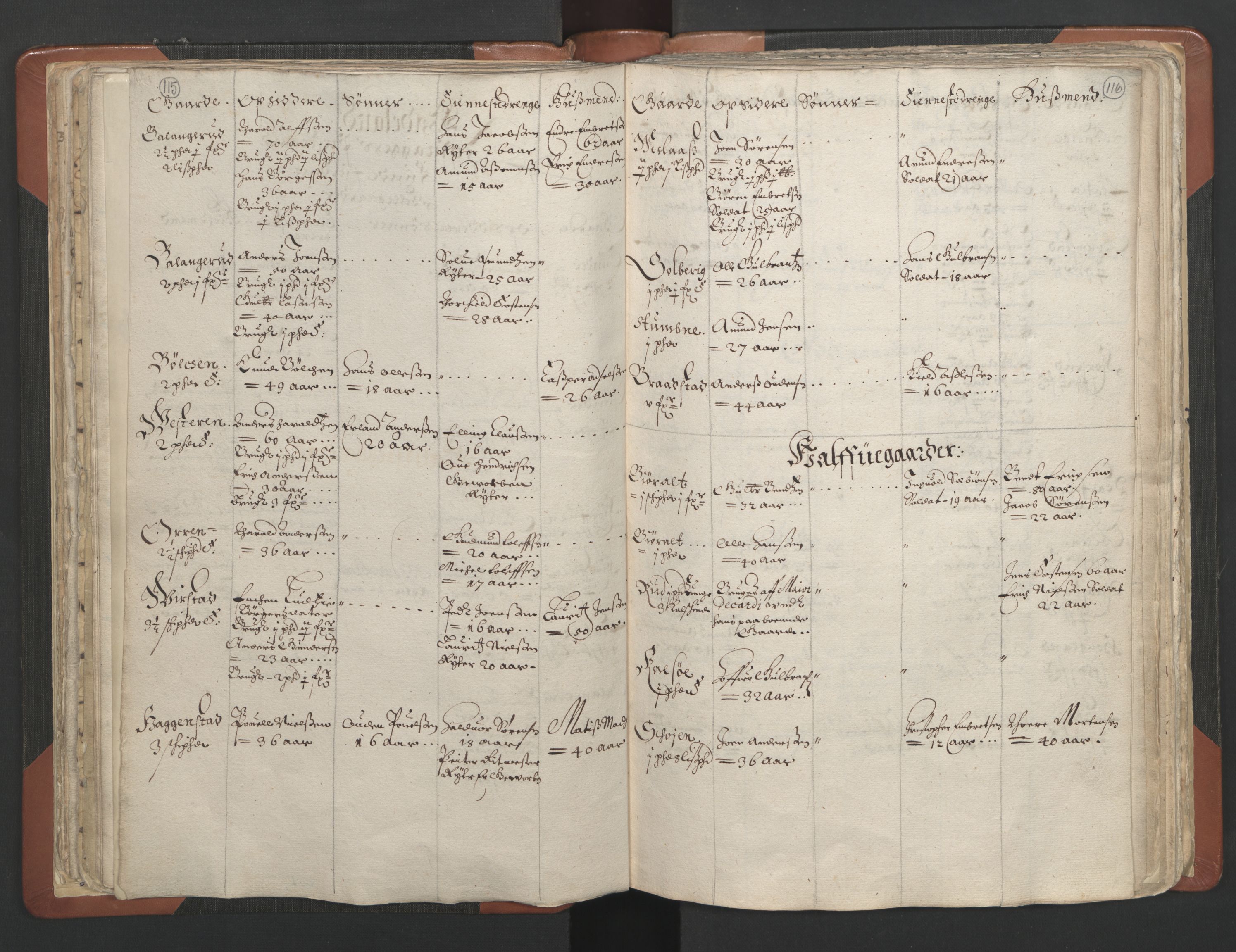 RA, Vicar's Census 1664-1666, no. 7: Hadeland deanery, 1664-1666, p. 115-116
