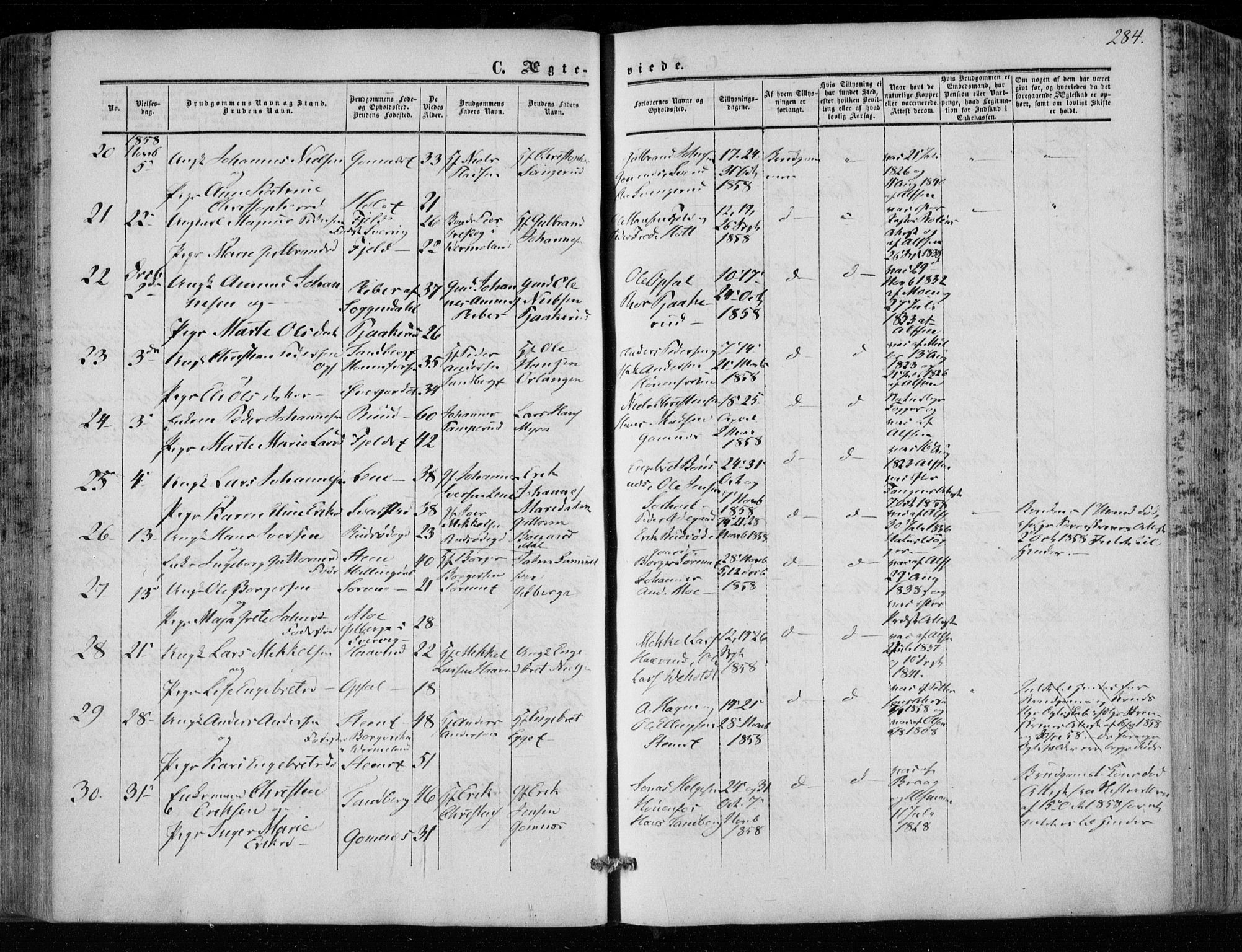 Hole kirkebøker, SAKO/A-228/F/Fa/L0006: Parish register (official) no. I 6, 1852-1872, p. 284