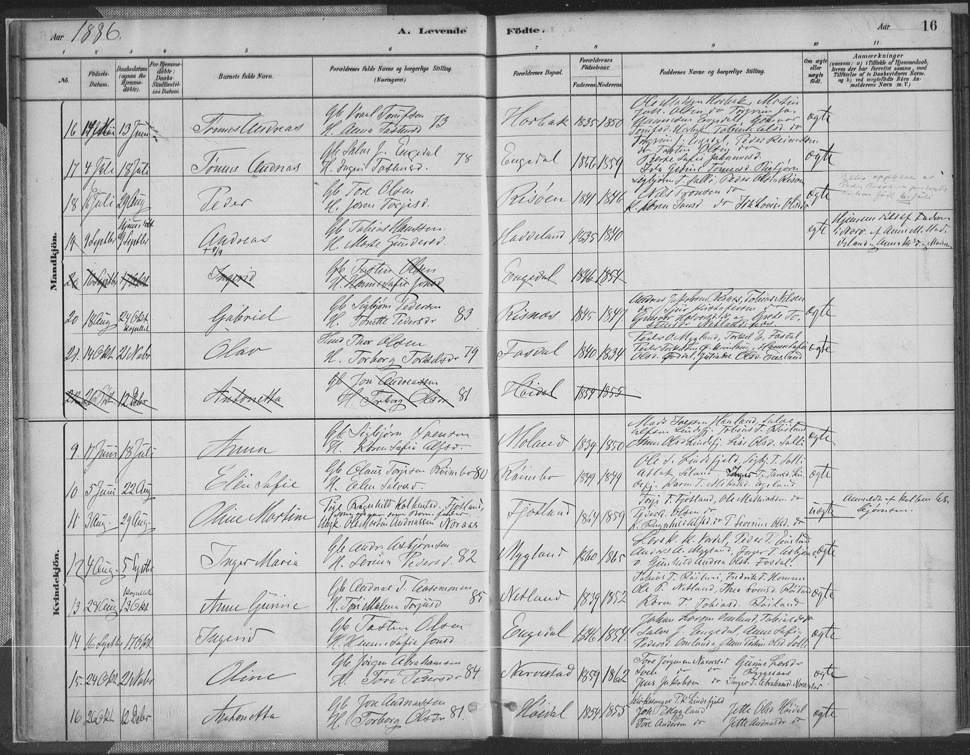 Fjotland sokneprestkontor, AV/SAK-1111-0010/F/Fa/L0002: Parish register (official) no. A 2, 1880-1898, p. 16