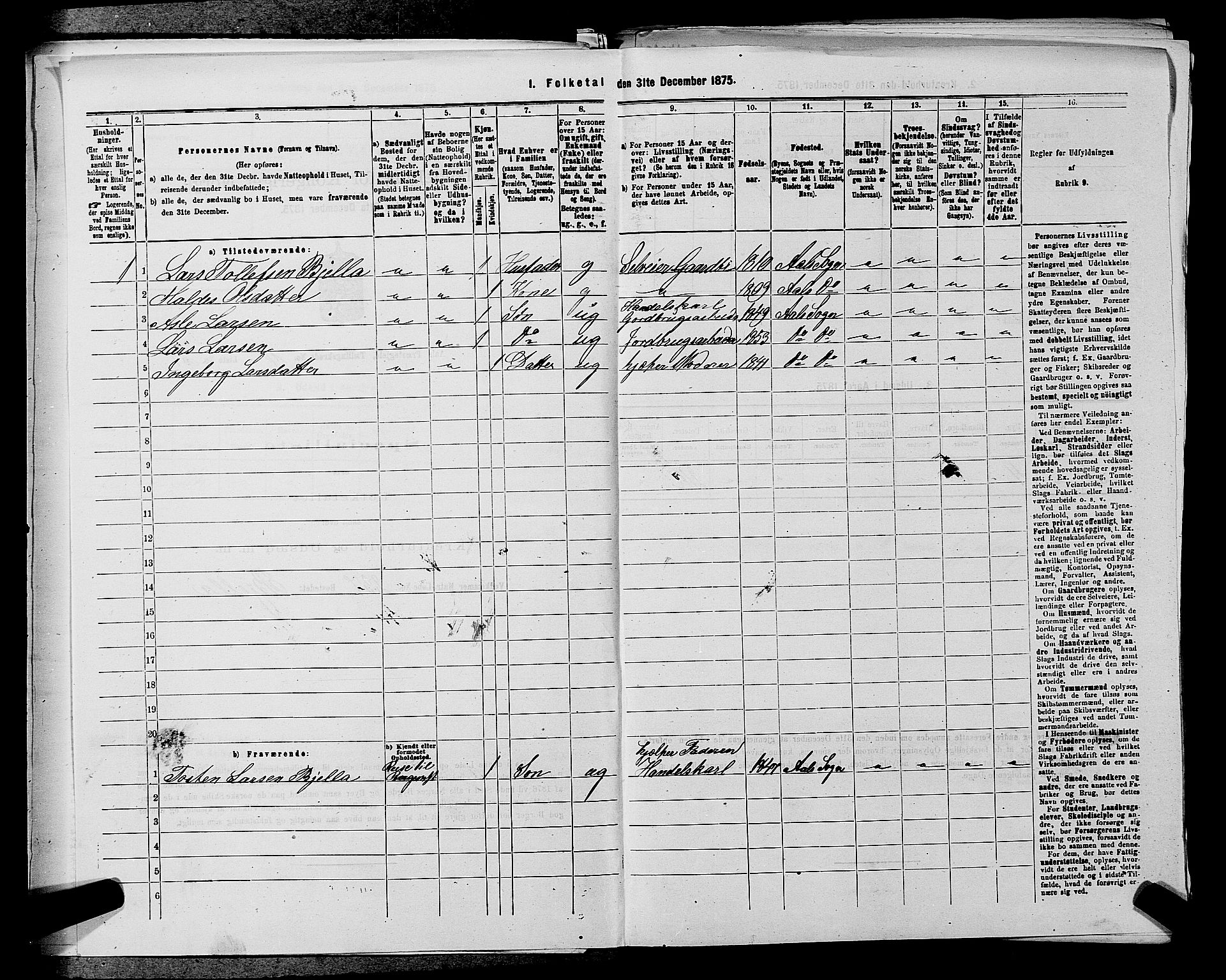 SAKO, 1875 census for 0619P Ål, 1875, p. 794
