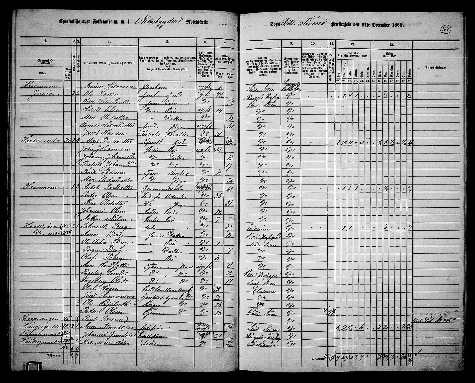 RA, 1865 census for Sør-Fron, 1865, p. 85