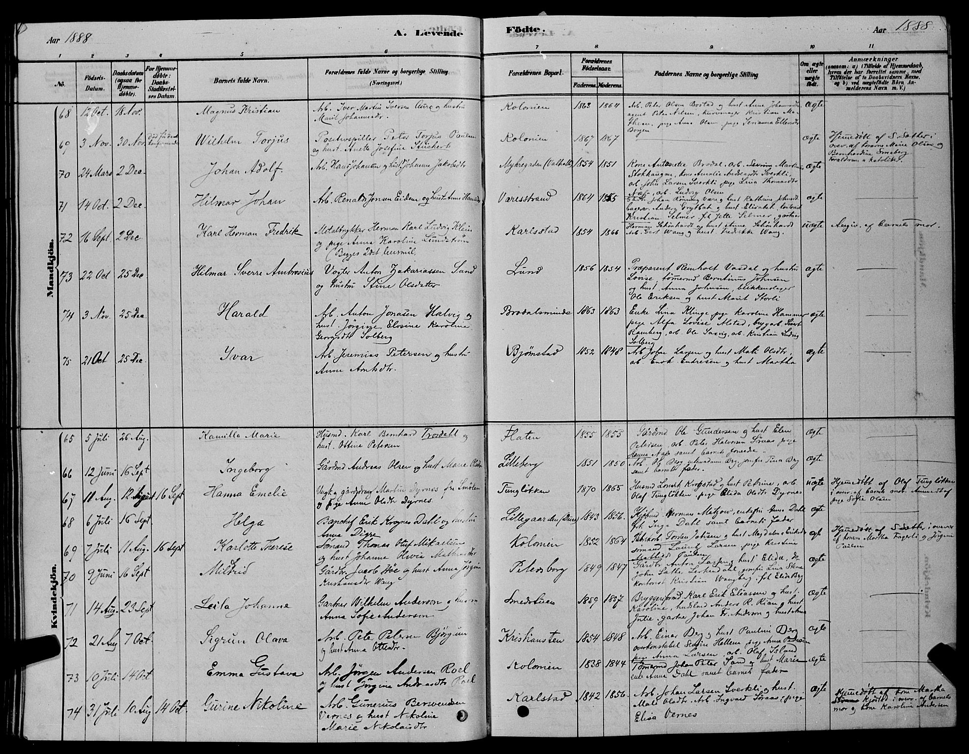 Ministerialprotokoller, klokkerbøker og fødselsregistre - Sør-Trøndelag, AV/SAT-A-1456/606/L0312: Parish register (copy) no. 606C08, 1878-1894