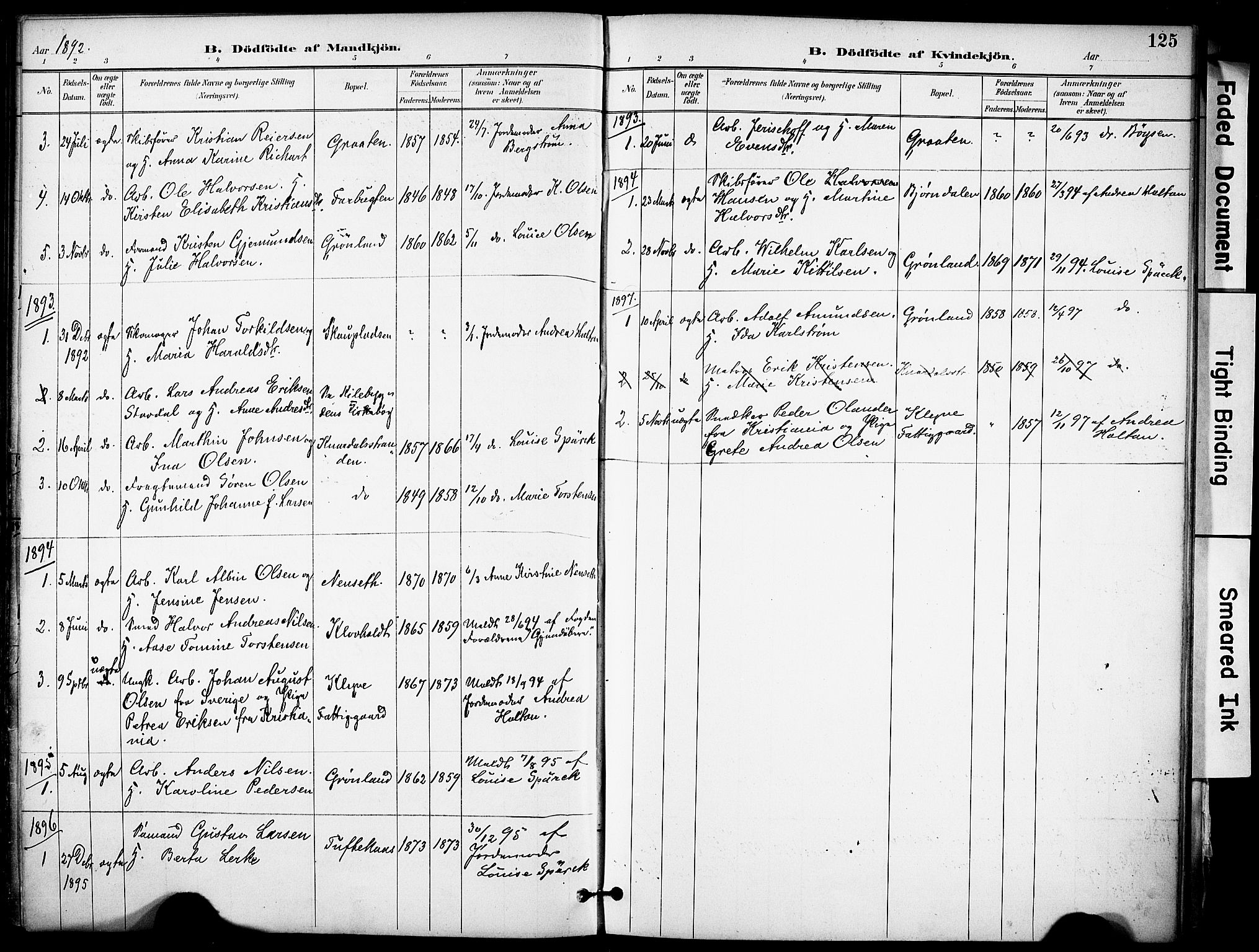 Solum kirkebøker, SAKO/A-306/F/Fa/L0010: Parish register (official) no. I 10, 1888-1898, p. 125