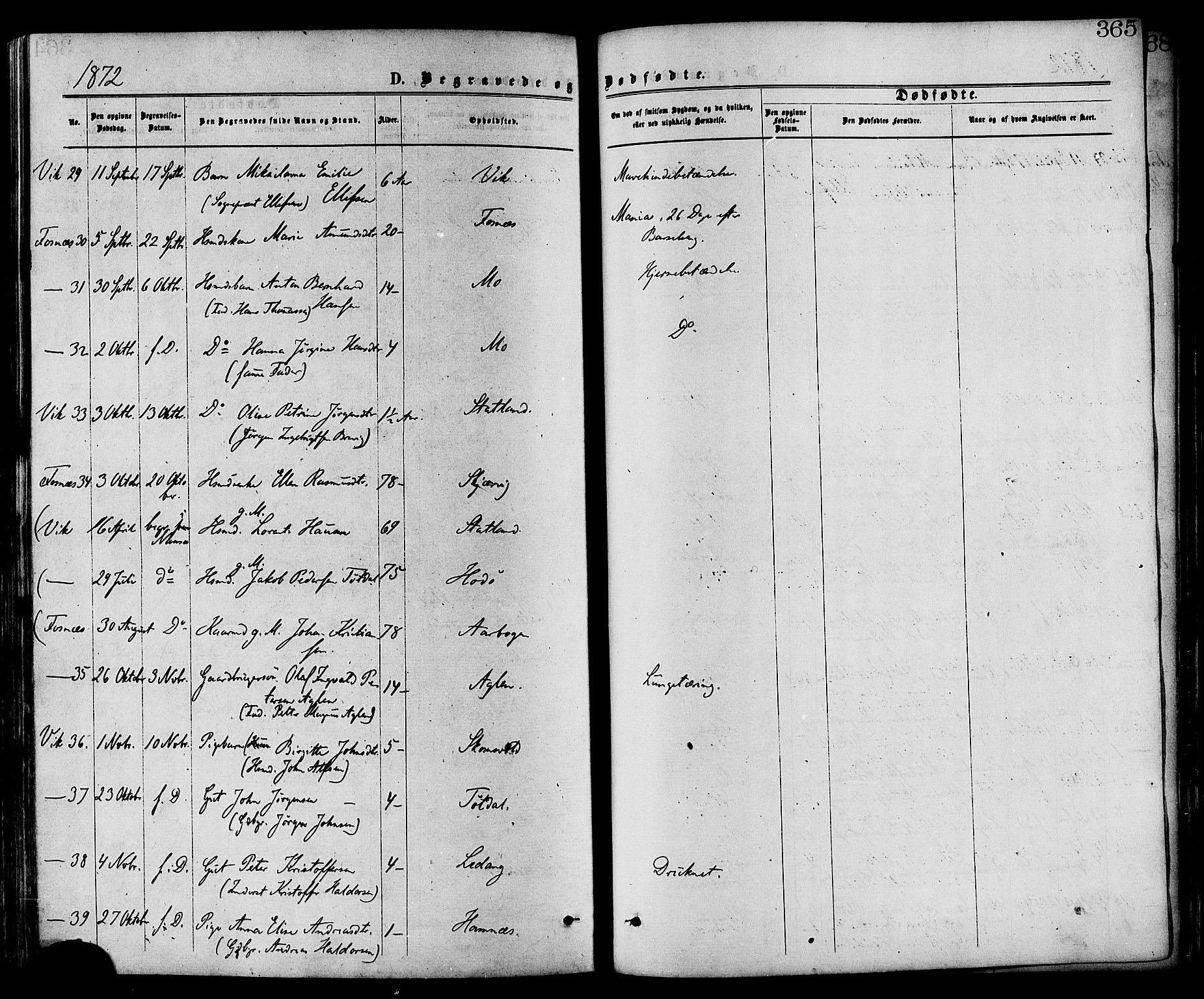 Ministerialprotokoller, klokkerbøker og fødselsregistre - Nord-Trøndelag, SAT/A-1458/773/L0616: Parish register (official) no. 773A07, 1870-1887, p. 365