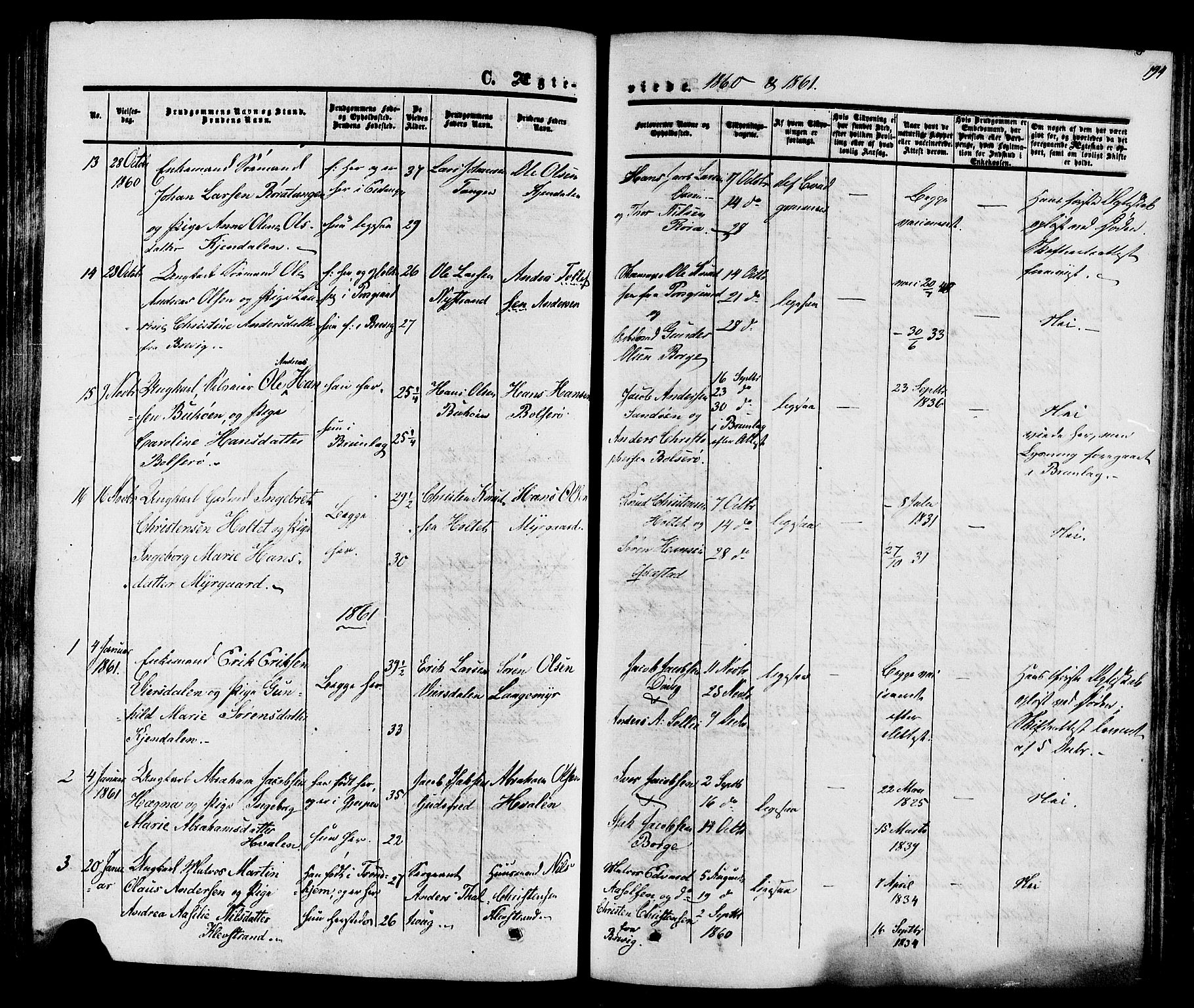 Eidanger kirkebøker, SAKO/A-261/F/Fa/L0010: Parish register (official) no. 10, 1859-1874, p. 194