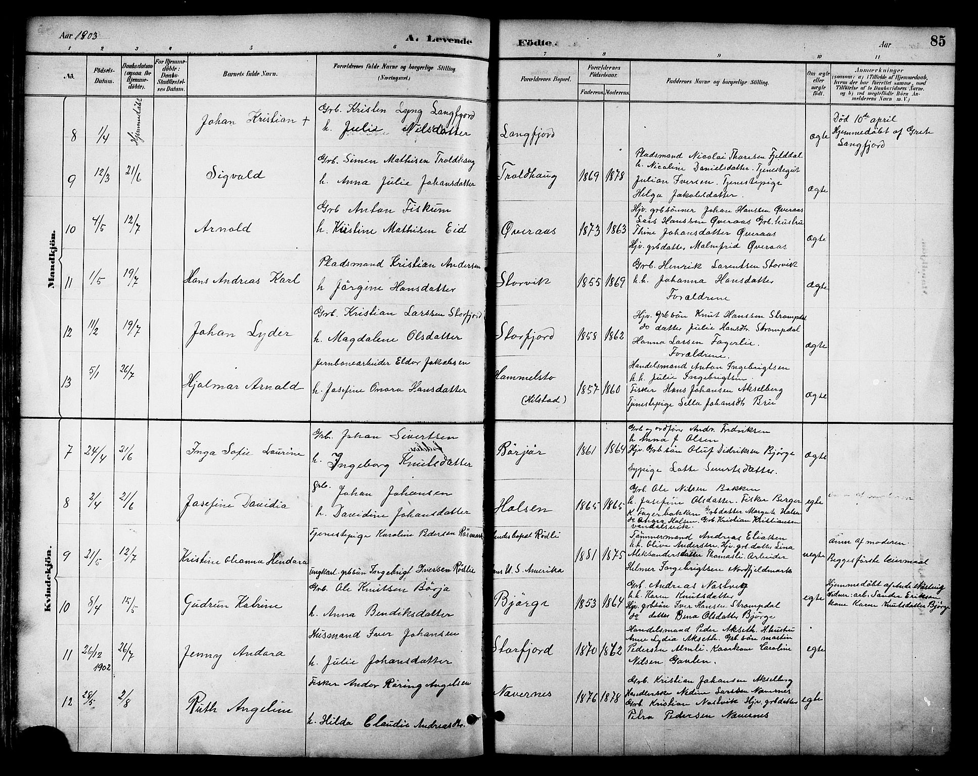 Ministerialprotokoller, klokkerbøker og fødselsregistre - Nordland, AV/SAT-A-1459/814/L0230: Parish register (copy) no. 814C03, 1884-1911, p. 85