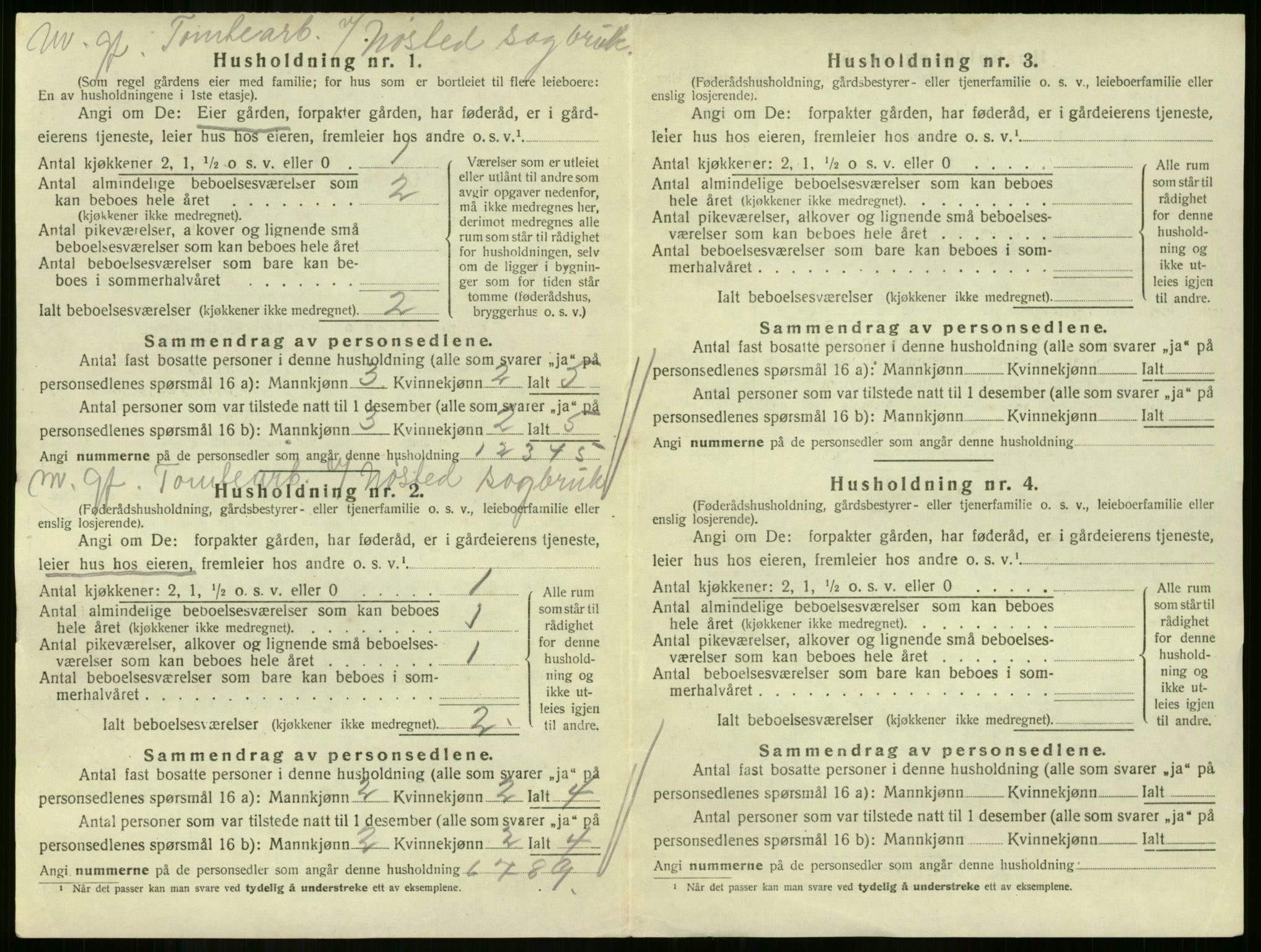 SAKO, 1920 census for Skoger, 1920, p. 1310